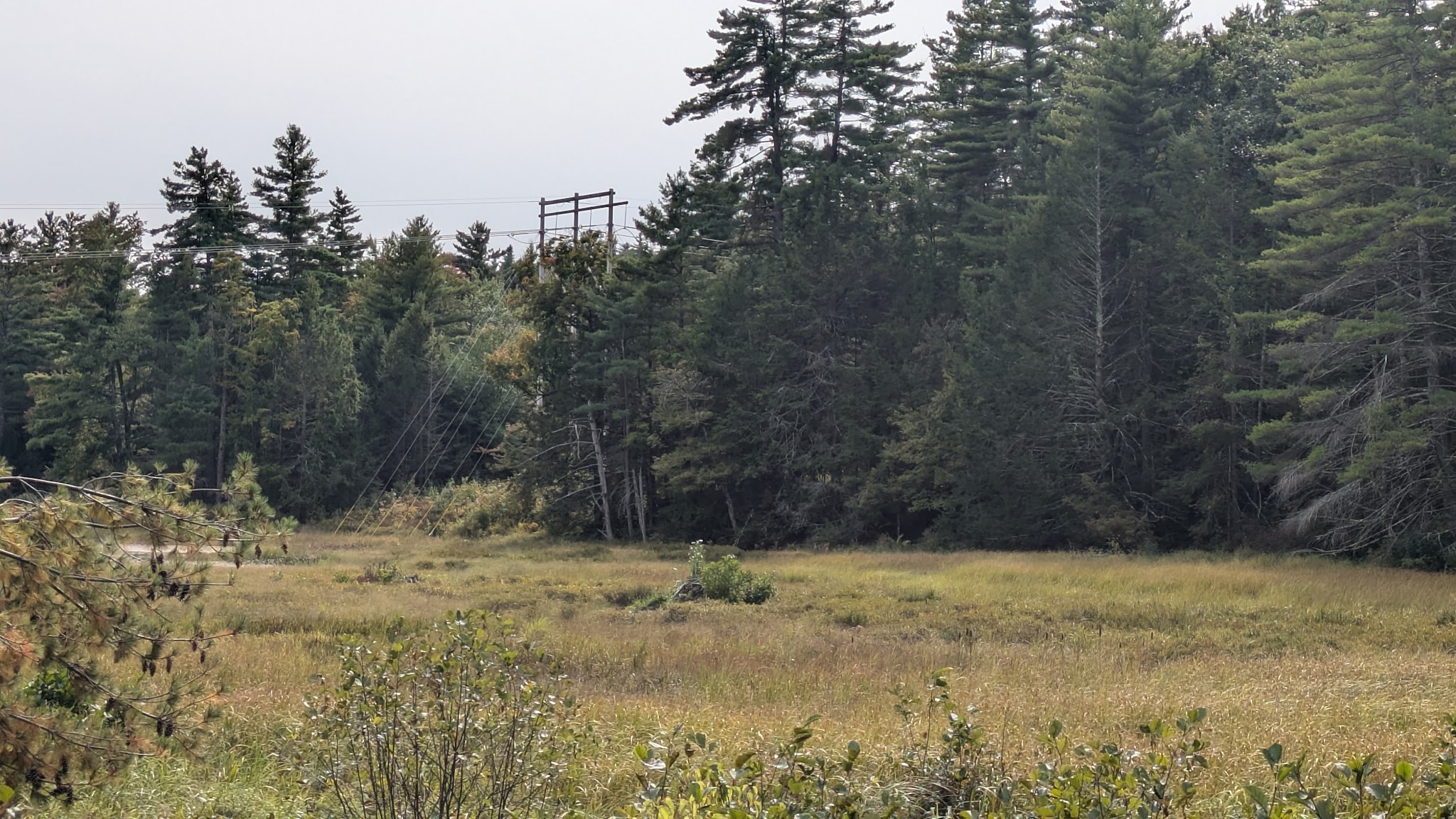 Ferrin Pond Reserve Parking - Weare, NH