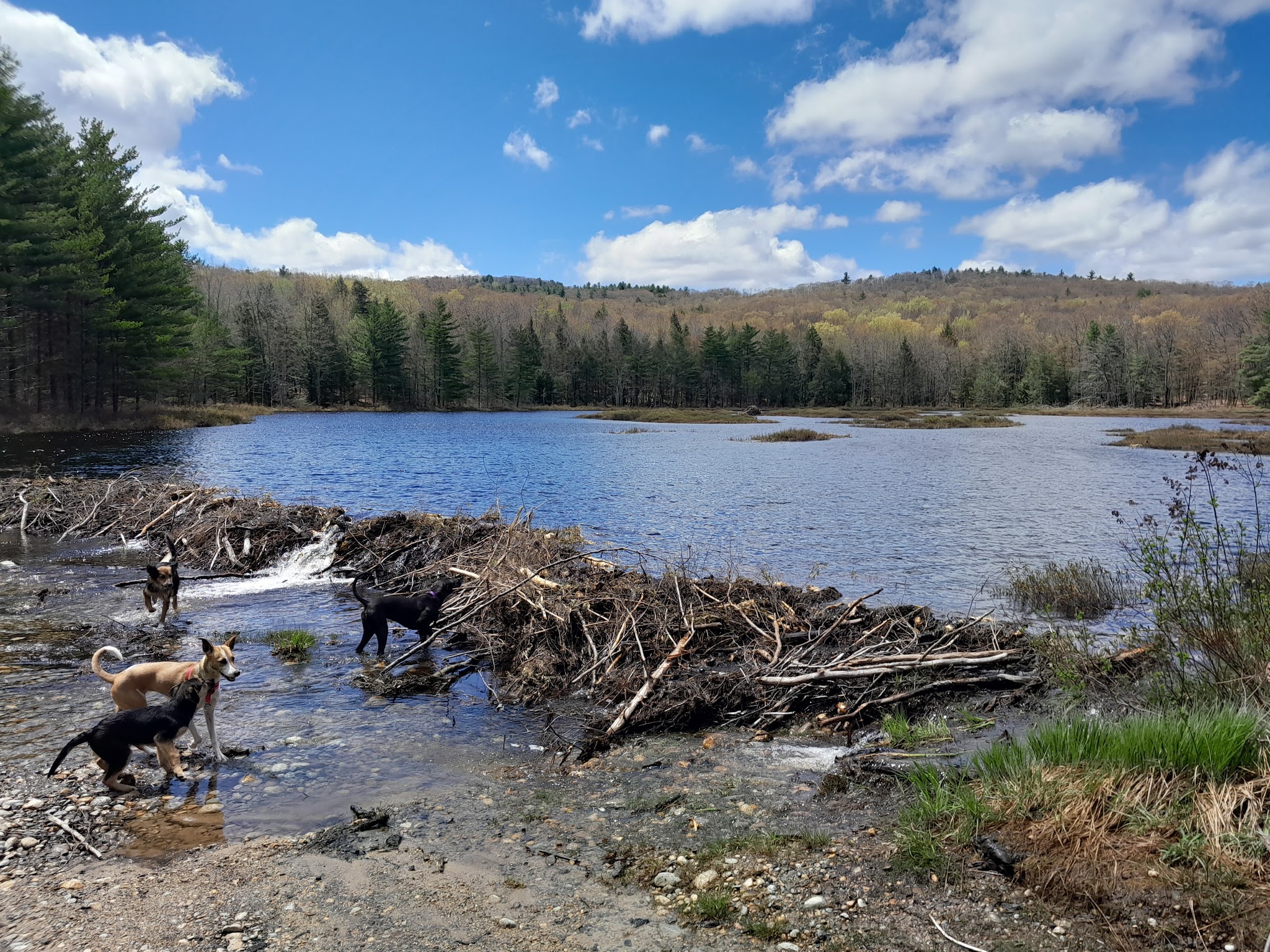 Ferrin Pond Reserve Parking - Weare, NH