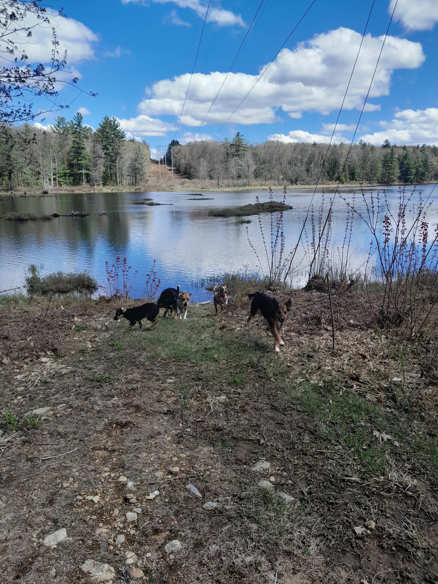 Ferrin Pond Reserve Parking - Weare, NH