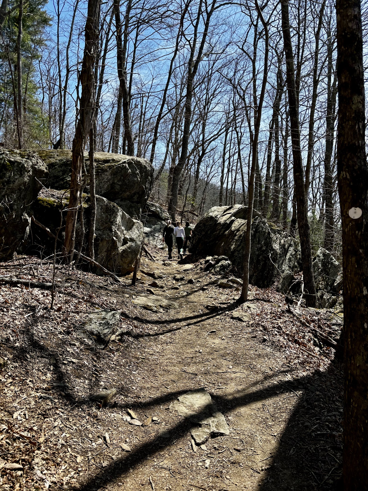 Rattlesnake Lodge - Weaverville, NC