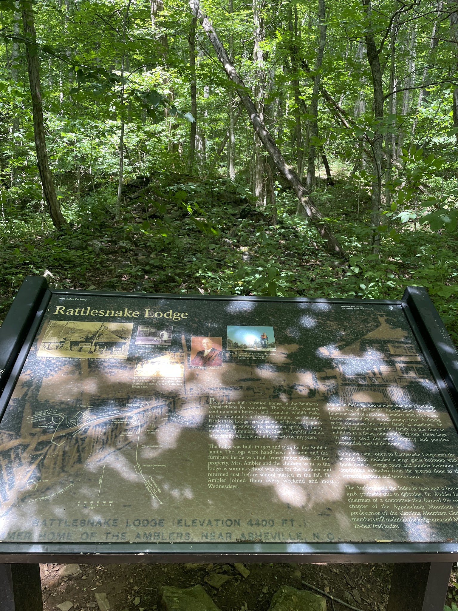 Rattlesnake Lodge - Weaverville, NC