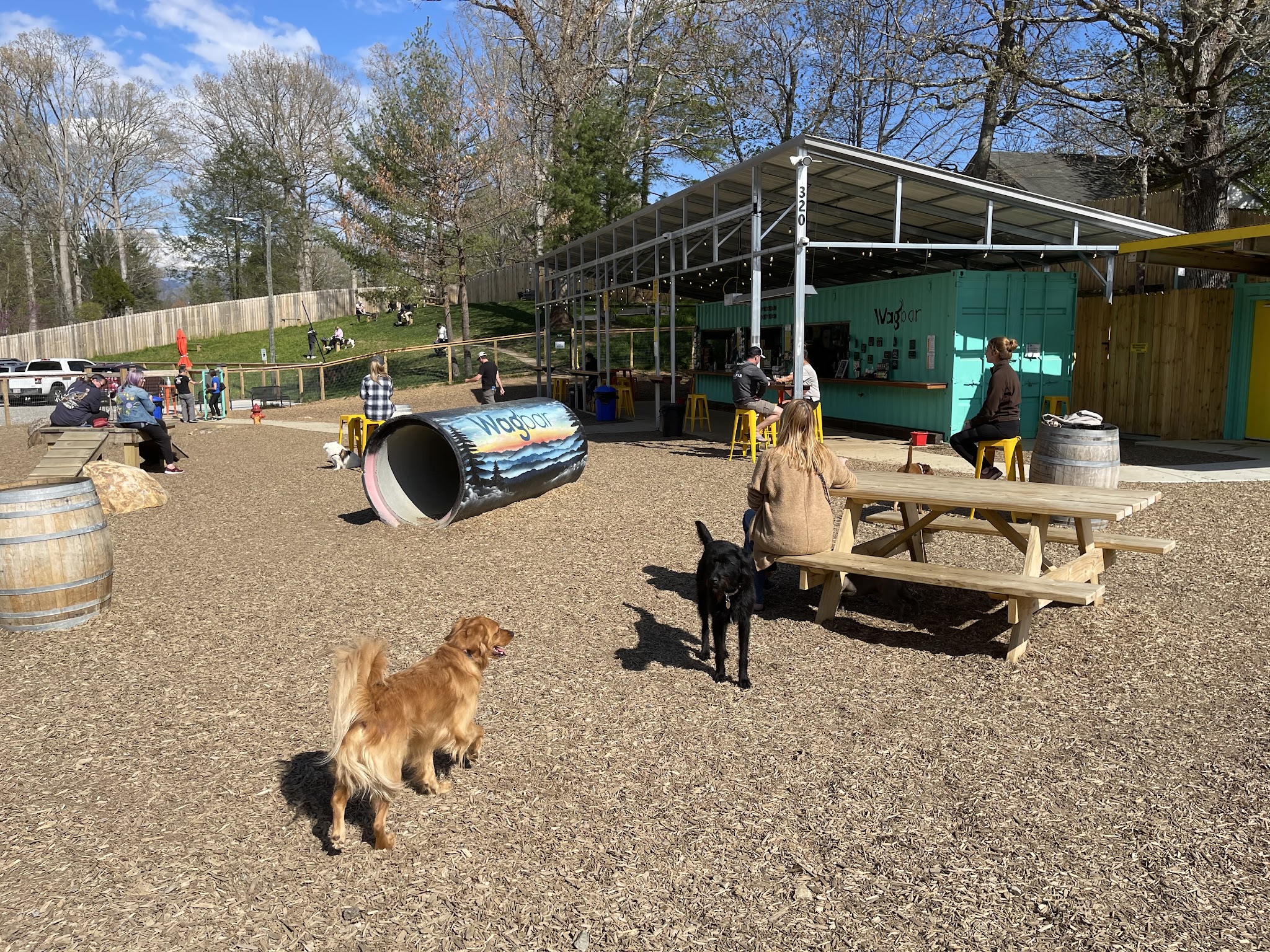 Wagbar - Weaverville, NC