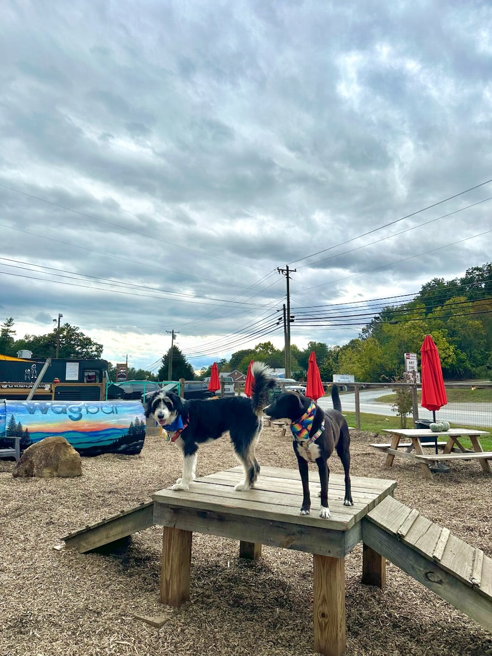 Wagbar - Weaverville, NC