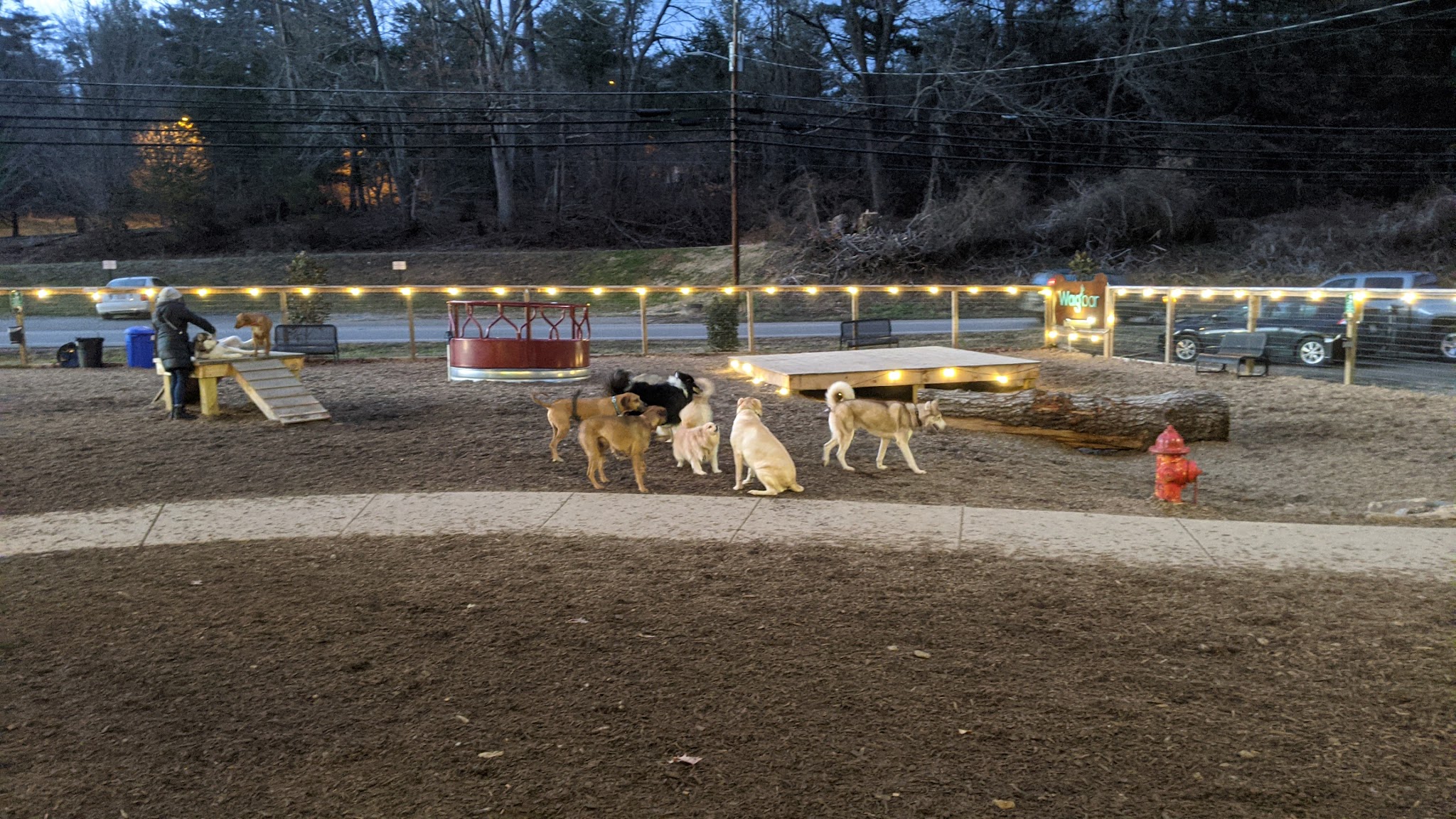 Wagbar - Weaverville, NC