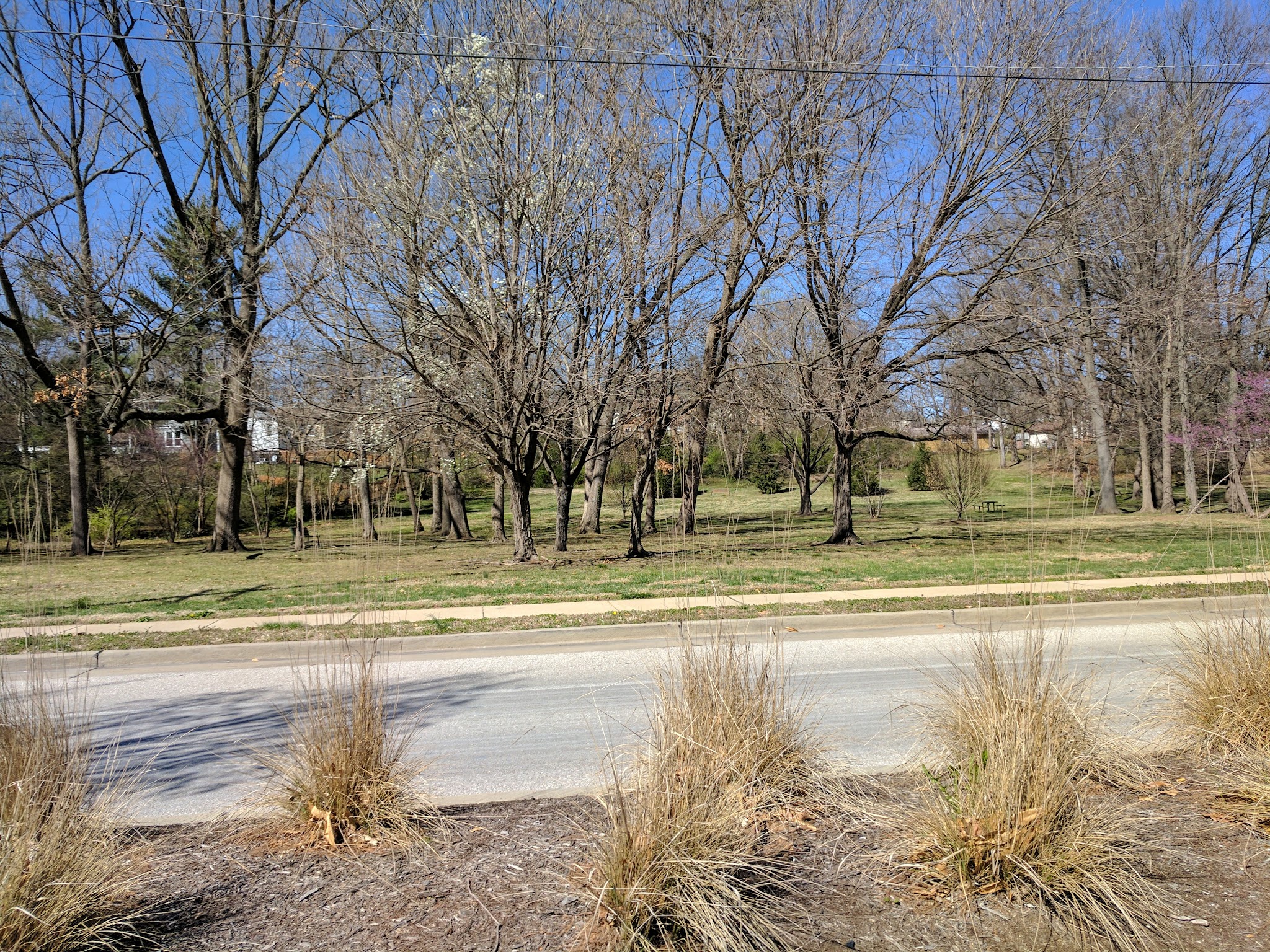 Barbre Park - Webster Groves, MO
