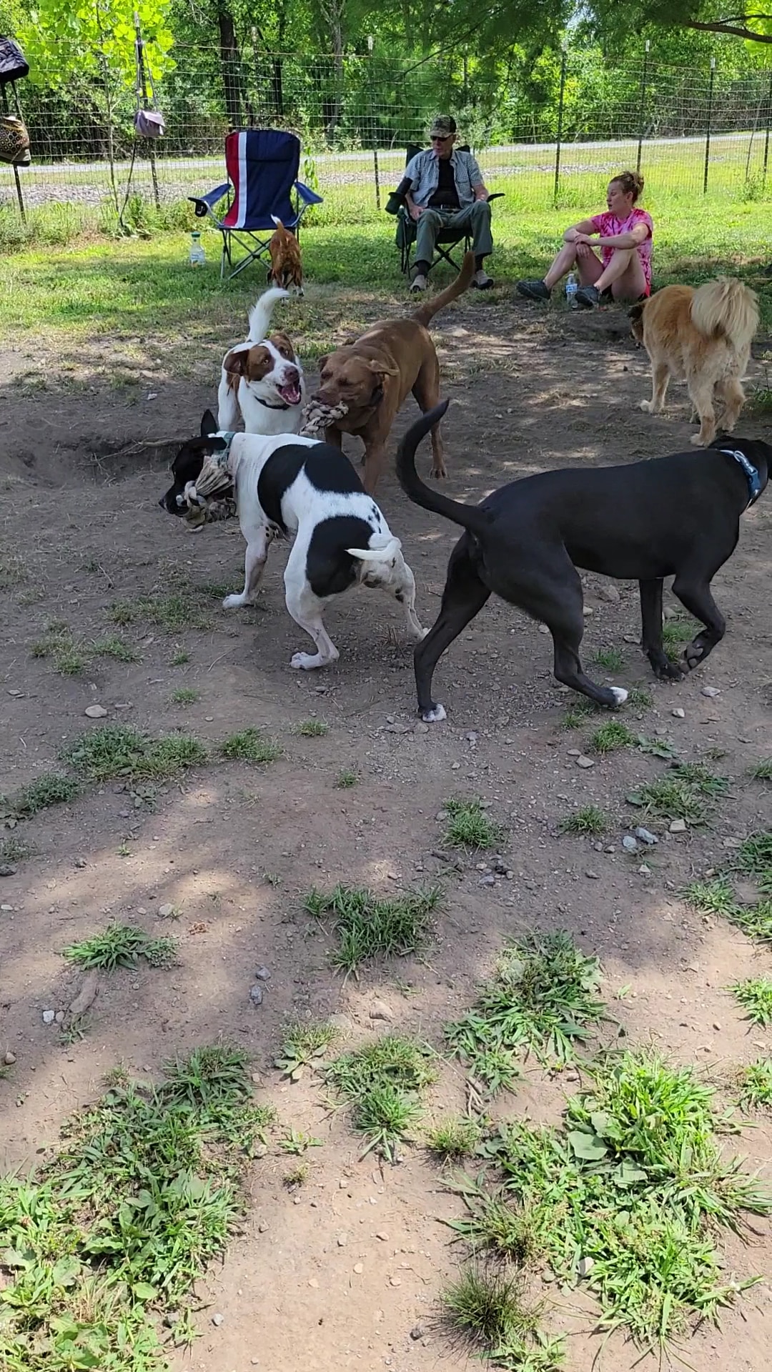 River Point Canine Park - Weissport, PA