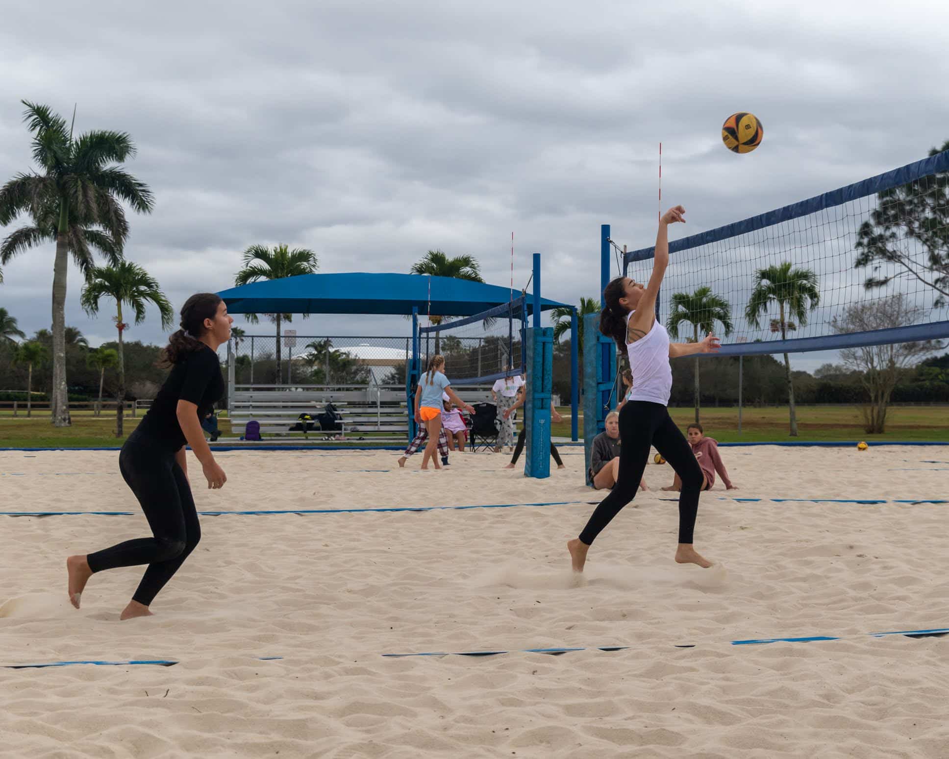 Wellington Dog Park - Wellington, FL