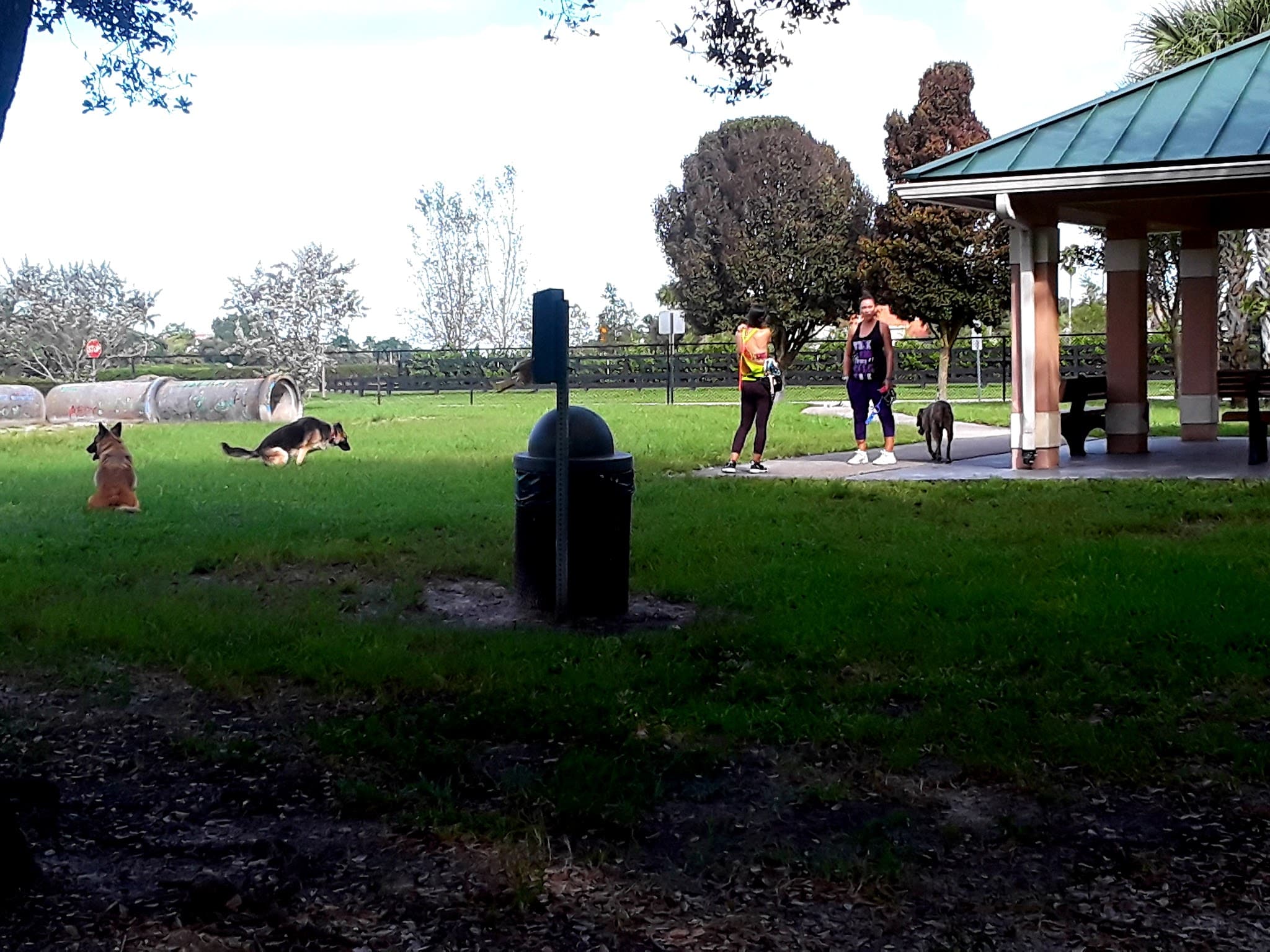 Wellington Dog Park - Wellington, FL