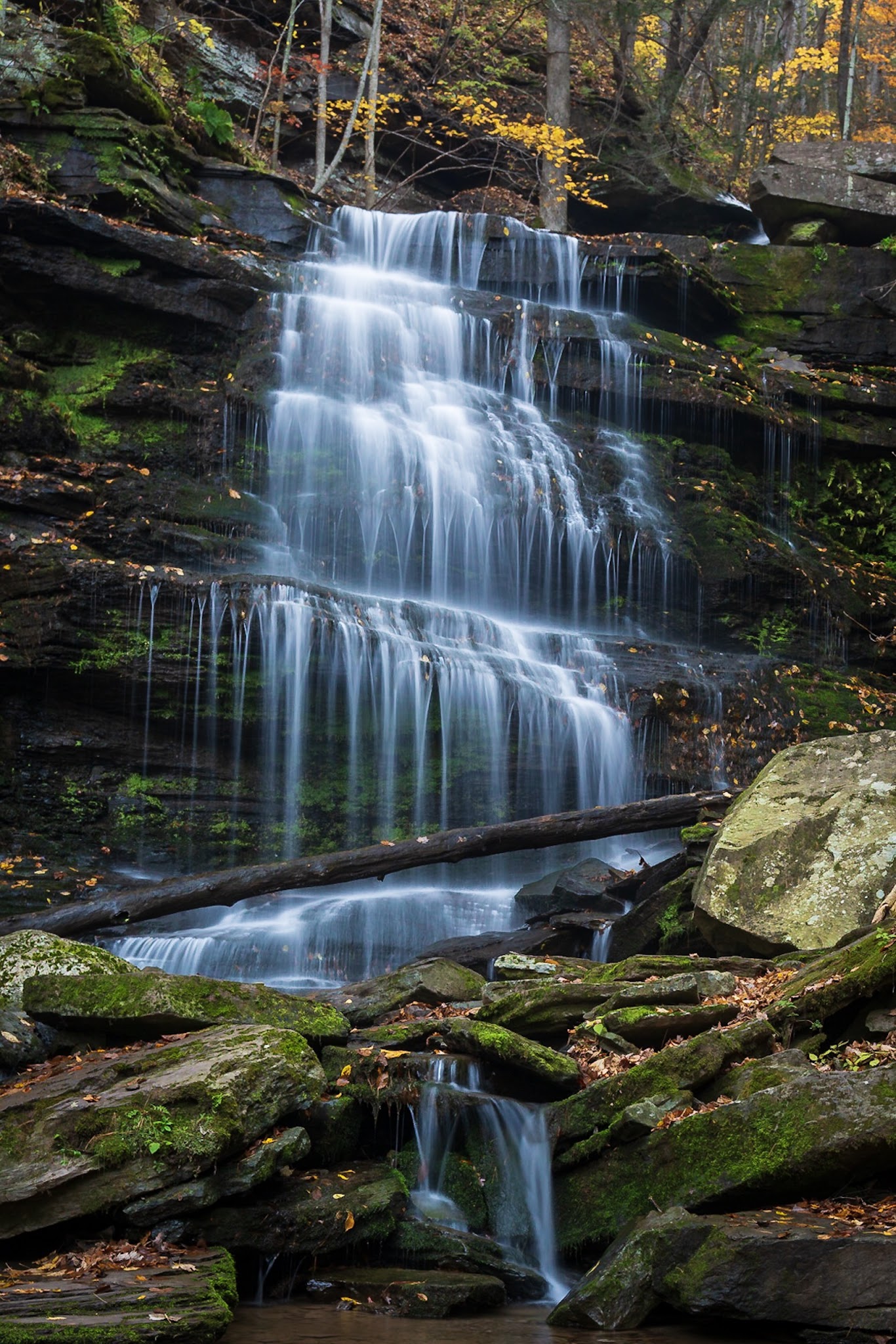 Leonard Harrison State Park - Wellsboro, PA
