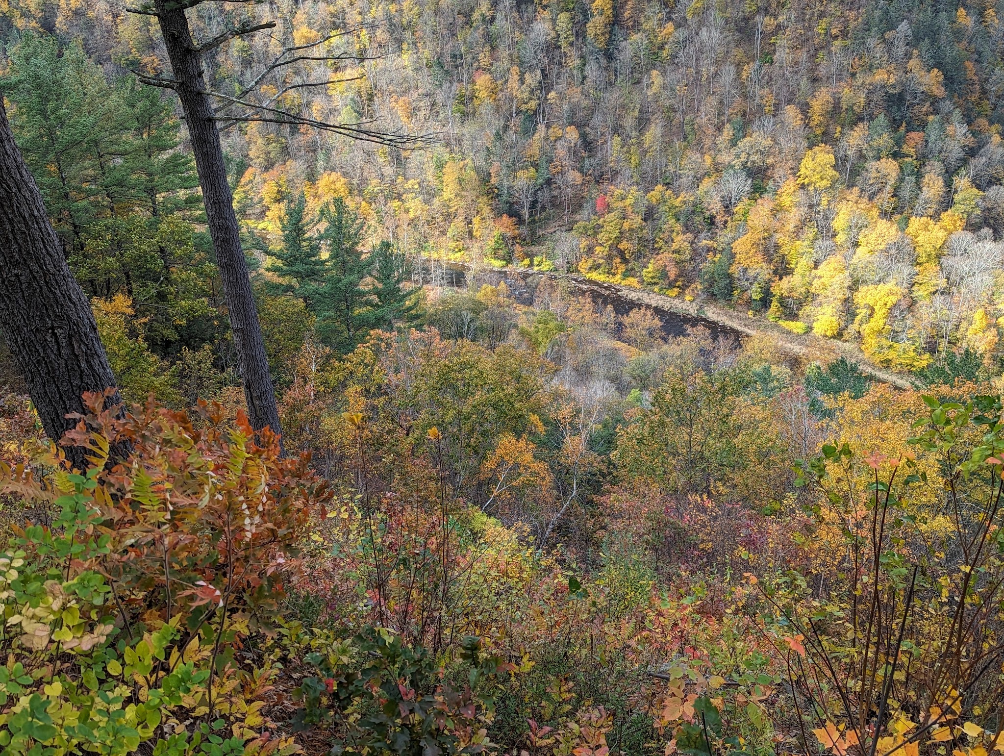 PA Grand Canyon - Wellsboro, PA