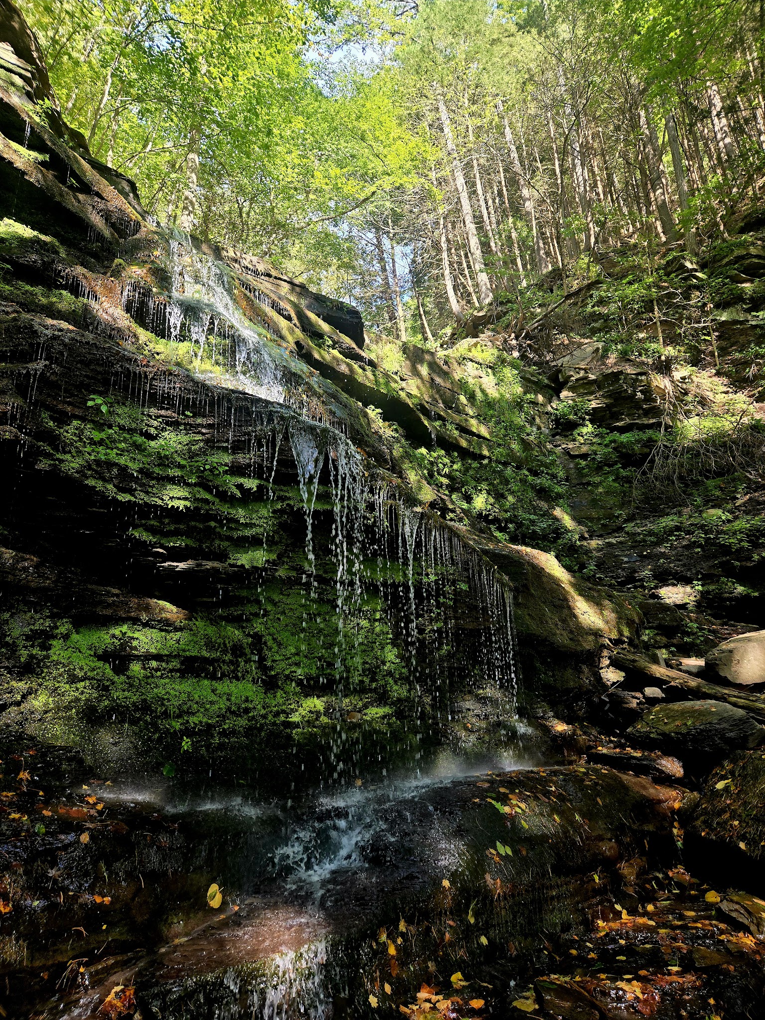 Turkey Path Trail - Wellsboro, PA
