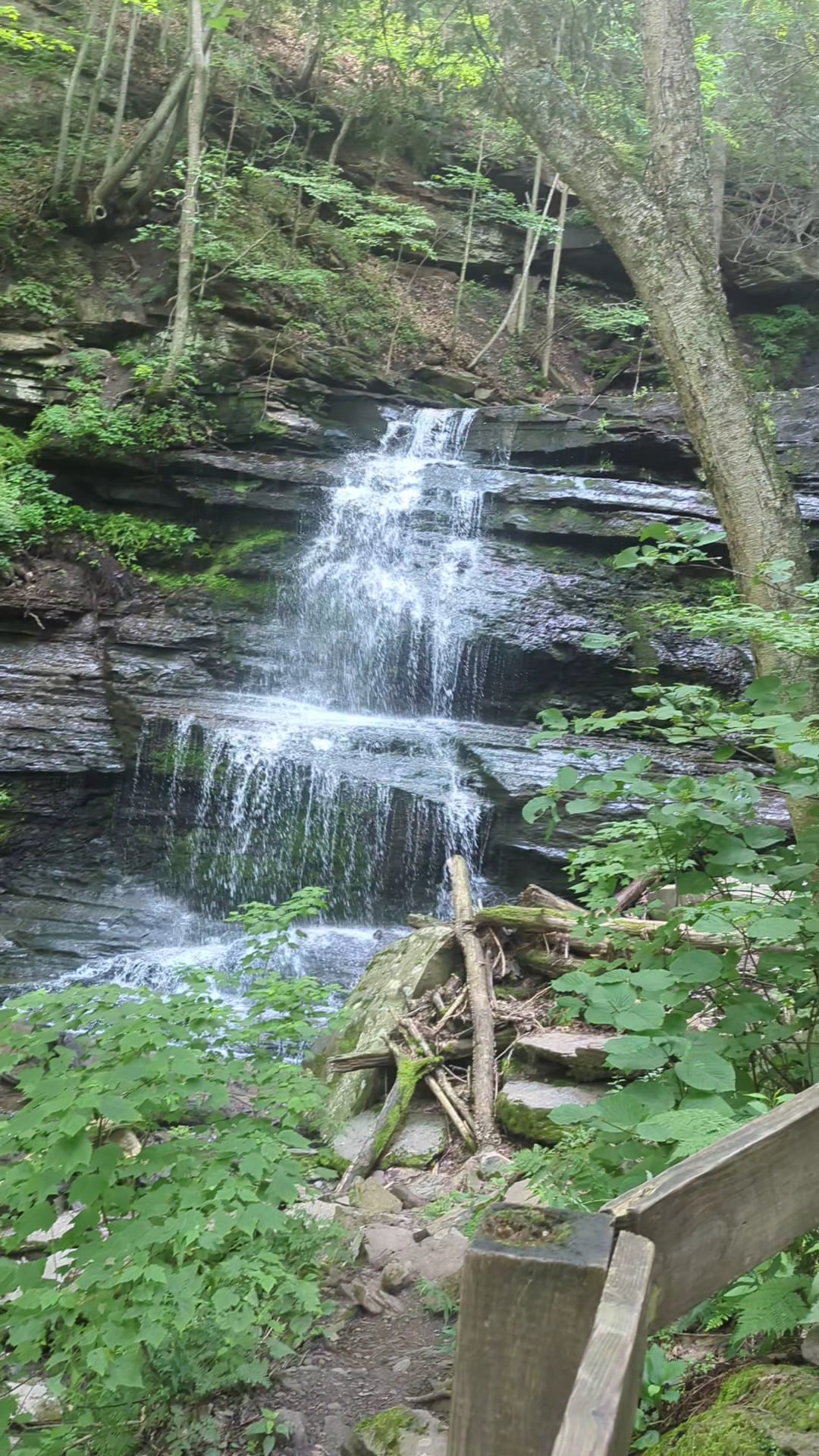 Turkey Path Trail - Wellsboro, PA