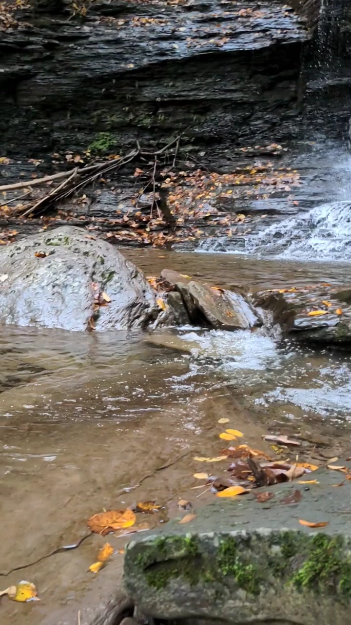 Turkey Path Trail Waterfall - Wellsboro, PA
