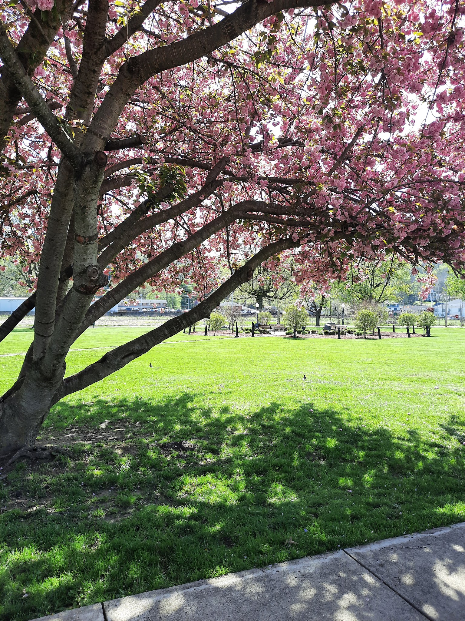 Wellsburg City Park - Wellsburg, WV
