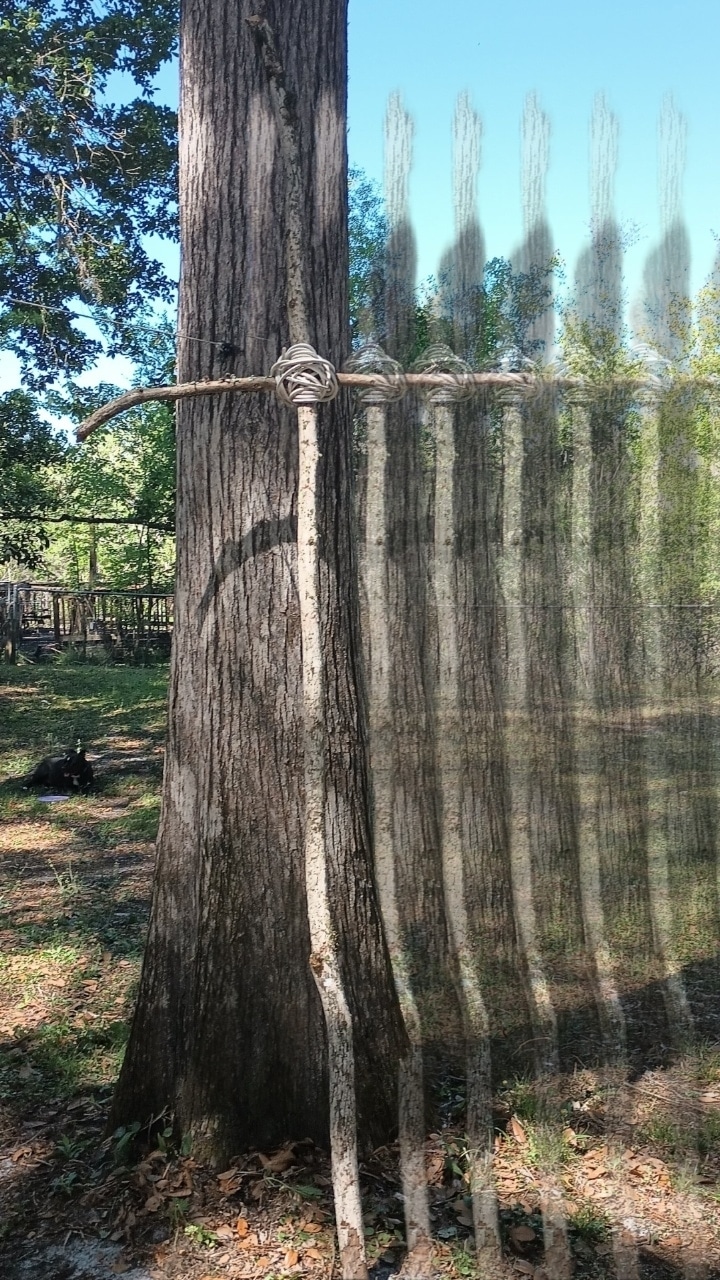 Wellsburg City Park - Wellsburg, WV