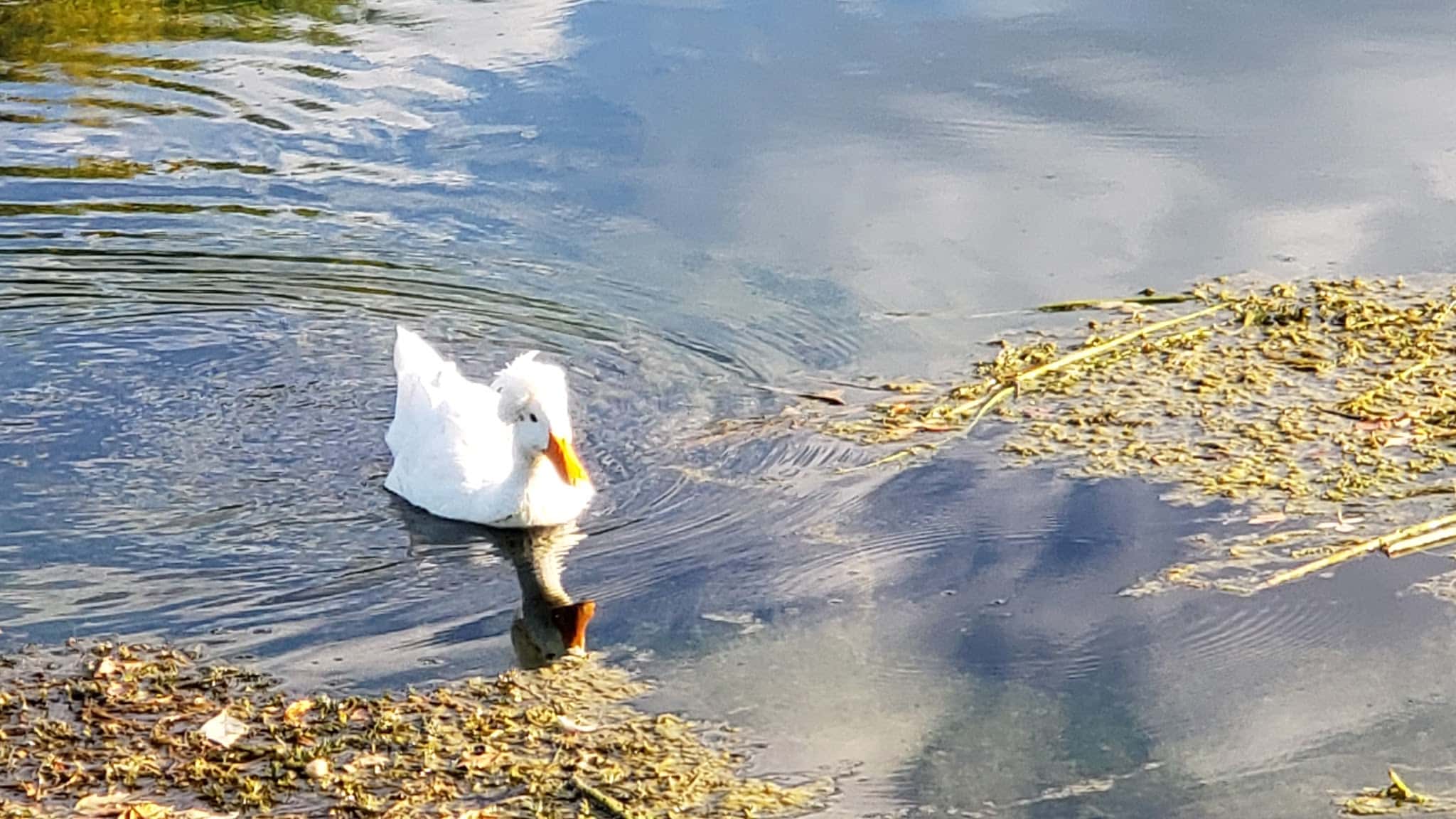 Wellsville Dam Park - Wellsville, UT