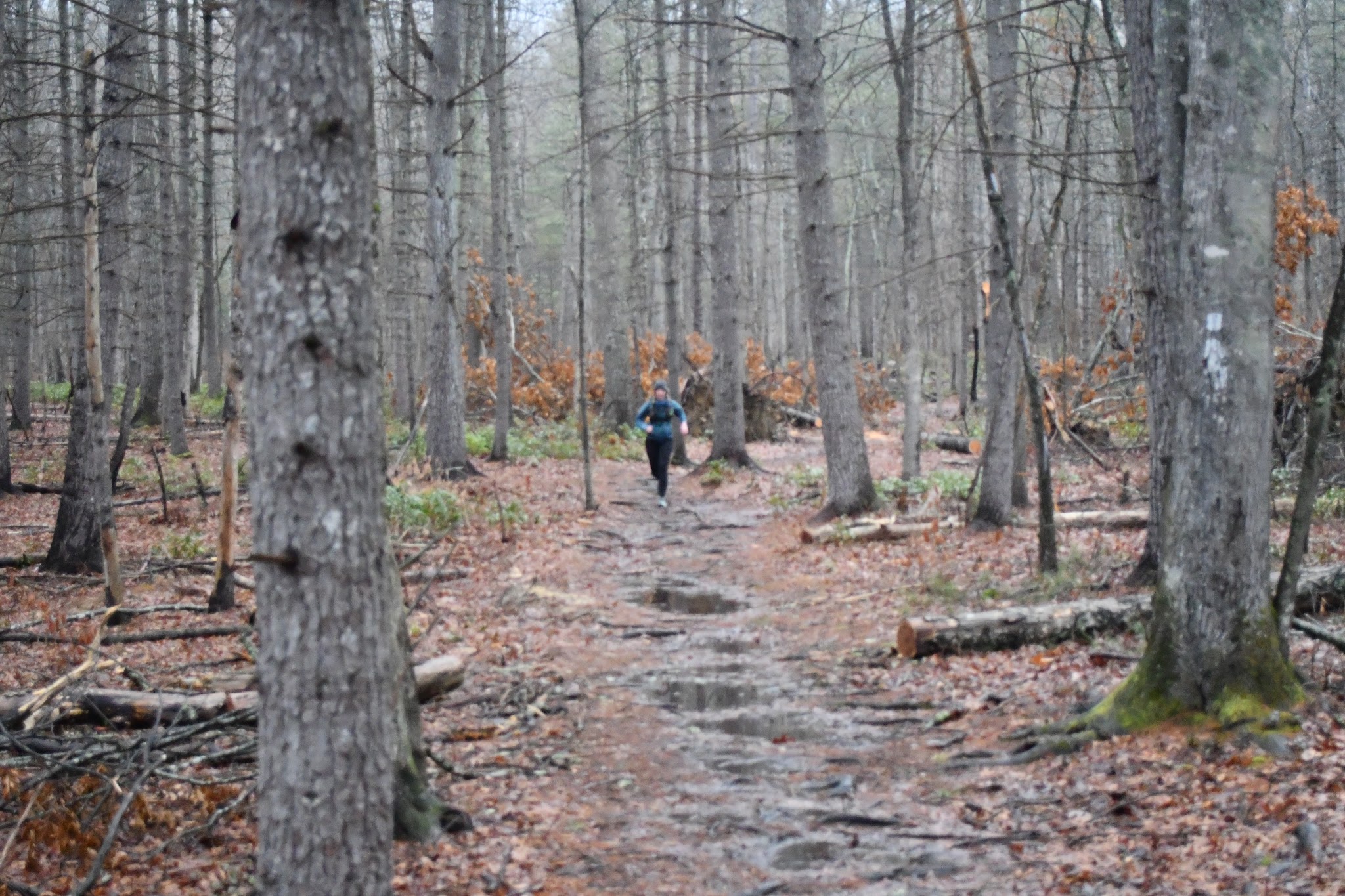 Wild Oak Trail - West Augusta, VA