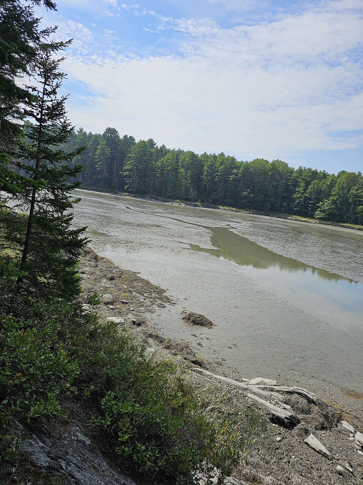 Hamilton Audubon Sanctuary parking - West Bath, ME