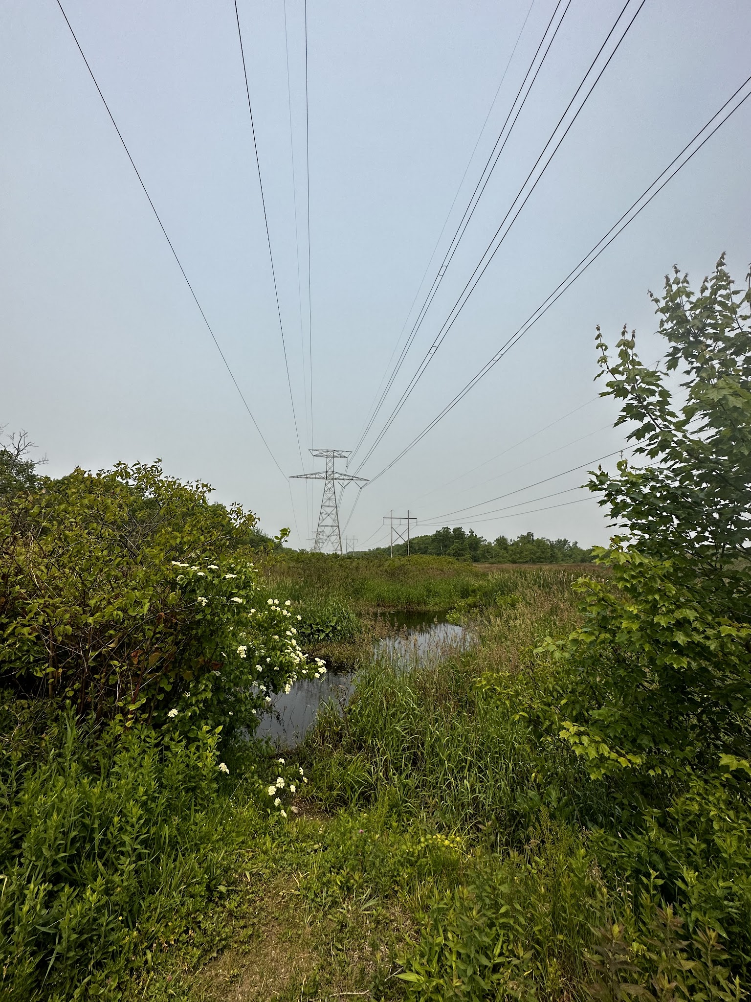Bay Circuit Trail Head (Hockamock) - West Bridgewater, MA