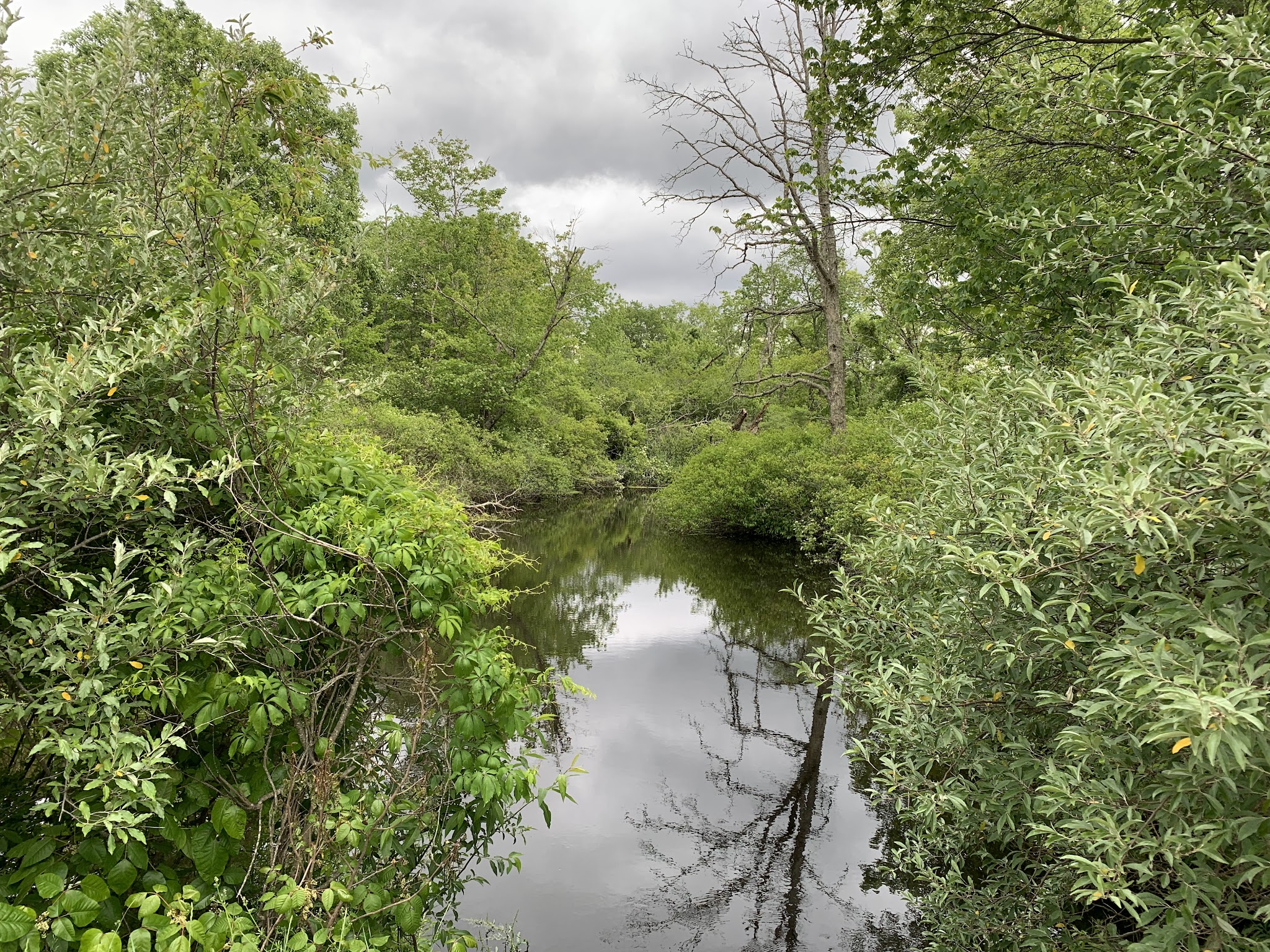 Bay Circuit Trail Head (Hockamock) - West Bridgewater, MA