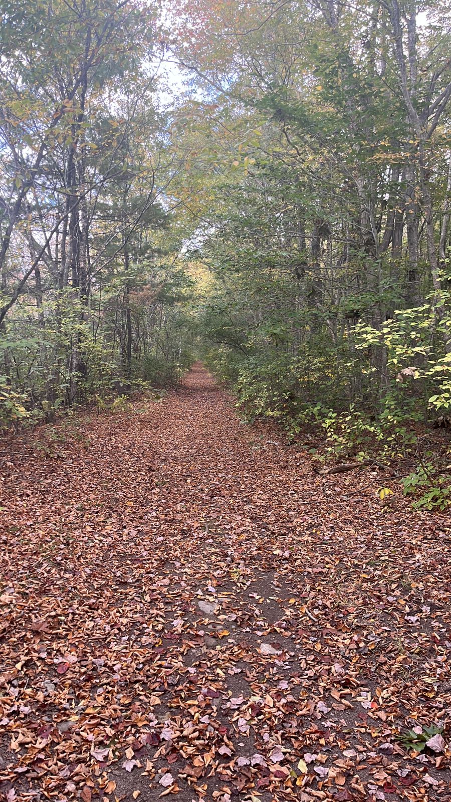 Bay Circuit Trail Head (Hockamock) - West Bridgewater, MA