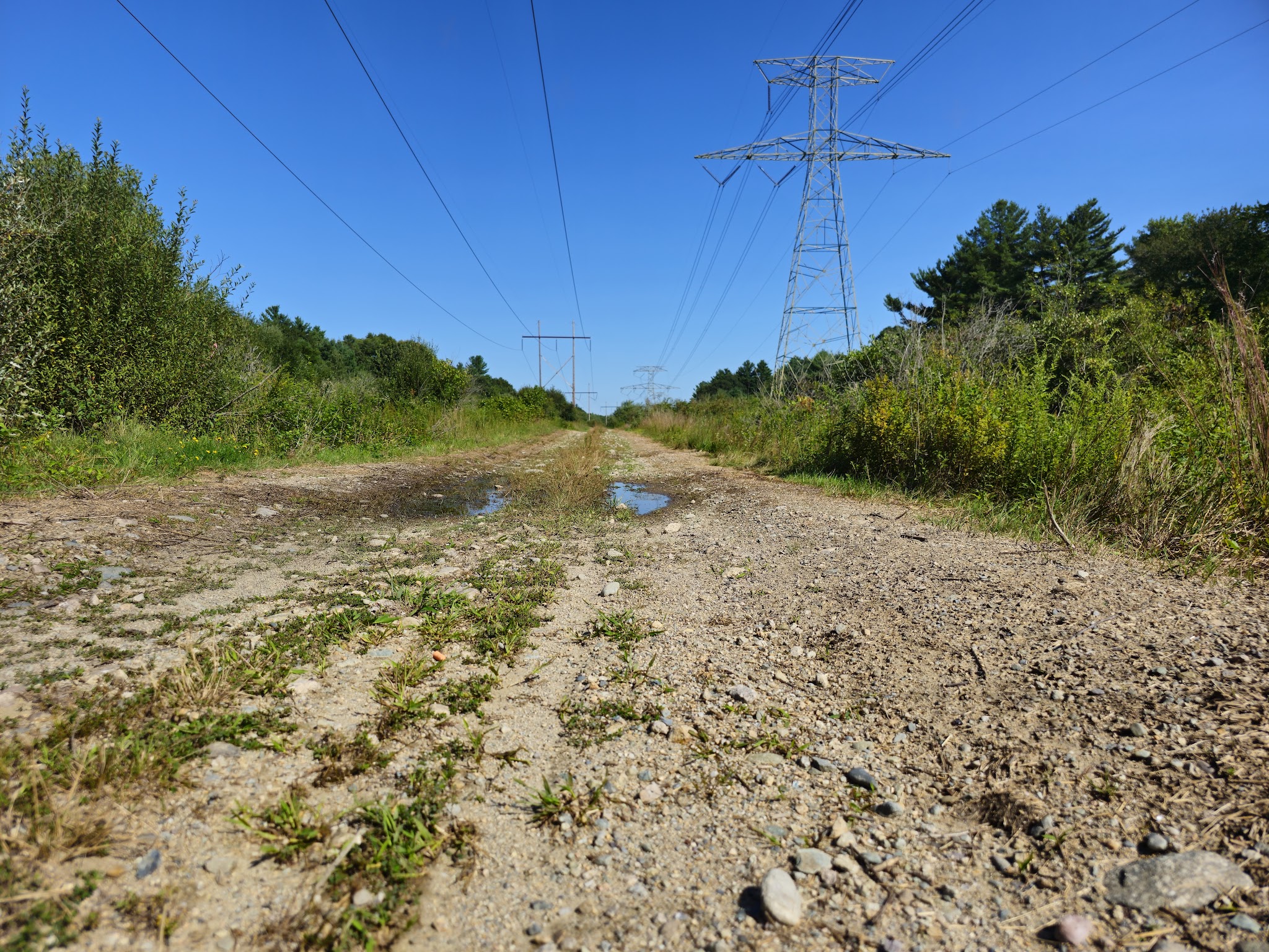 Bay Circuit Trail Head (Hockamock) - West Bridgewater, MA