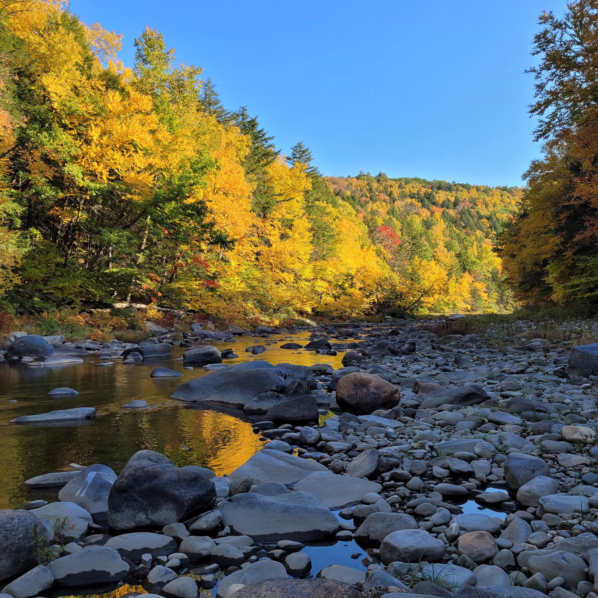 Chesterfield Gorge Reservation - West Chesterfield, MA