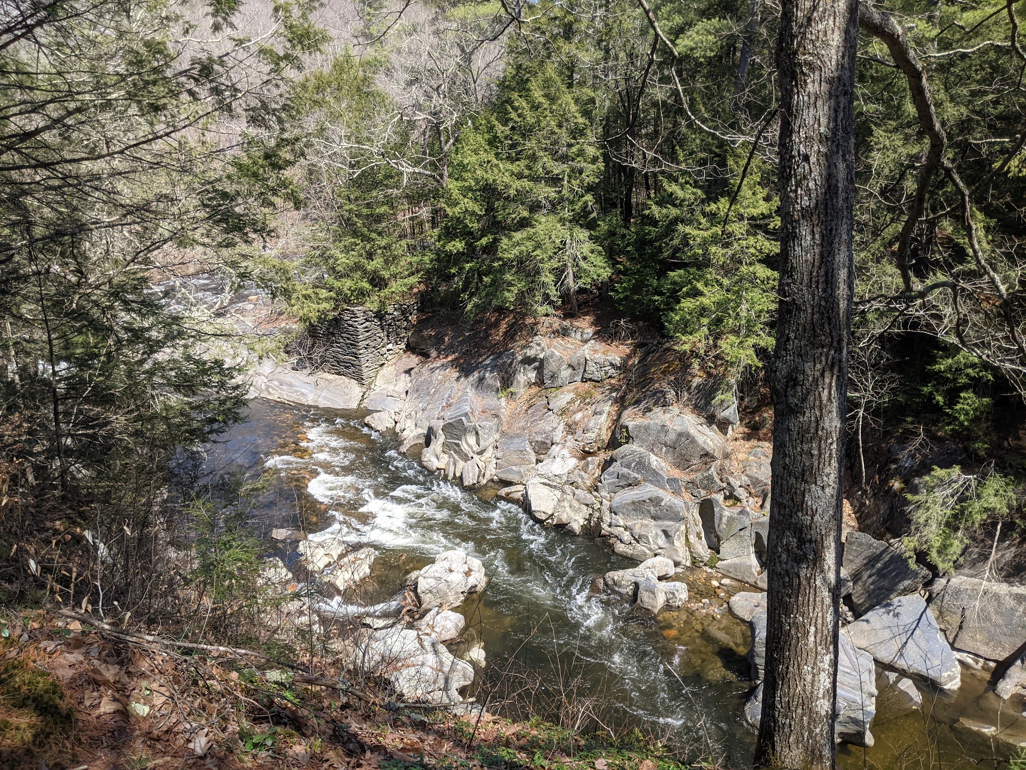 Chesterfield Gorge Reservation - West Chesterfield, MA