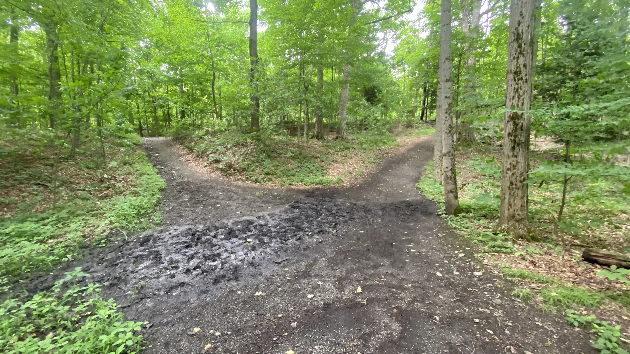 JP Nicely Memorial Park - West Falls, NY