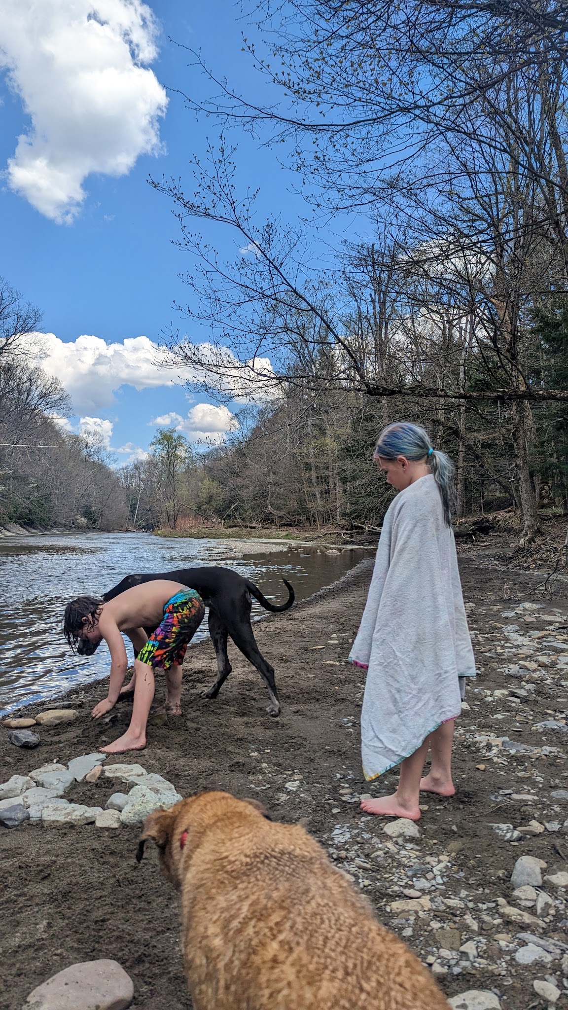 JP Nicely Memorial Park - West Falls, NY