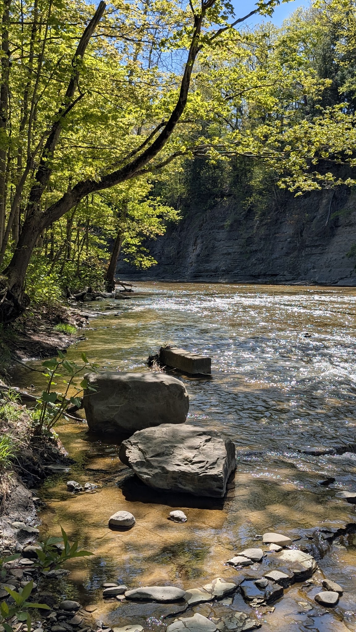 JP Nicely Memorial Park - West Falls, NY