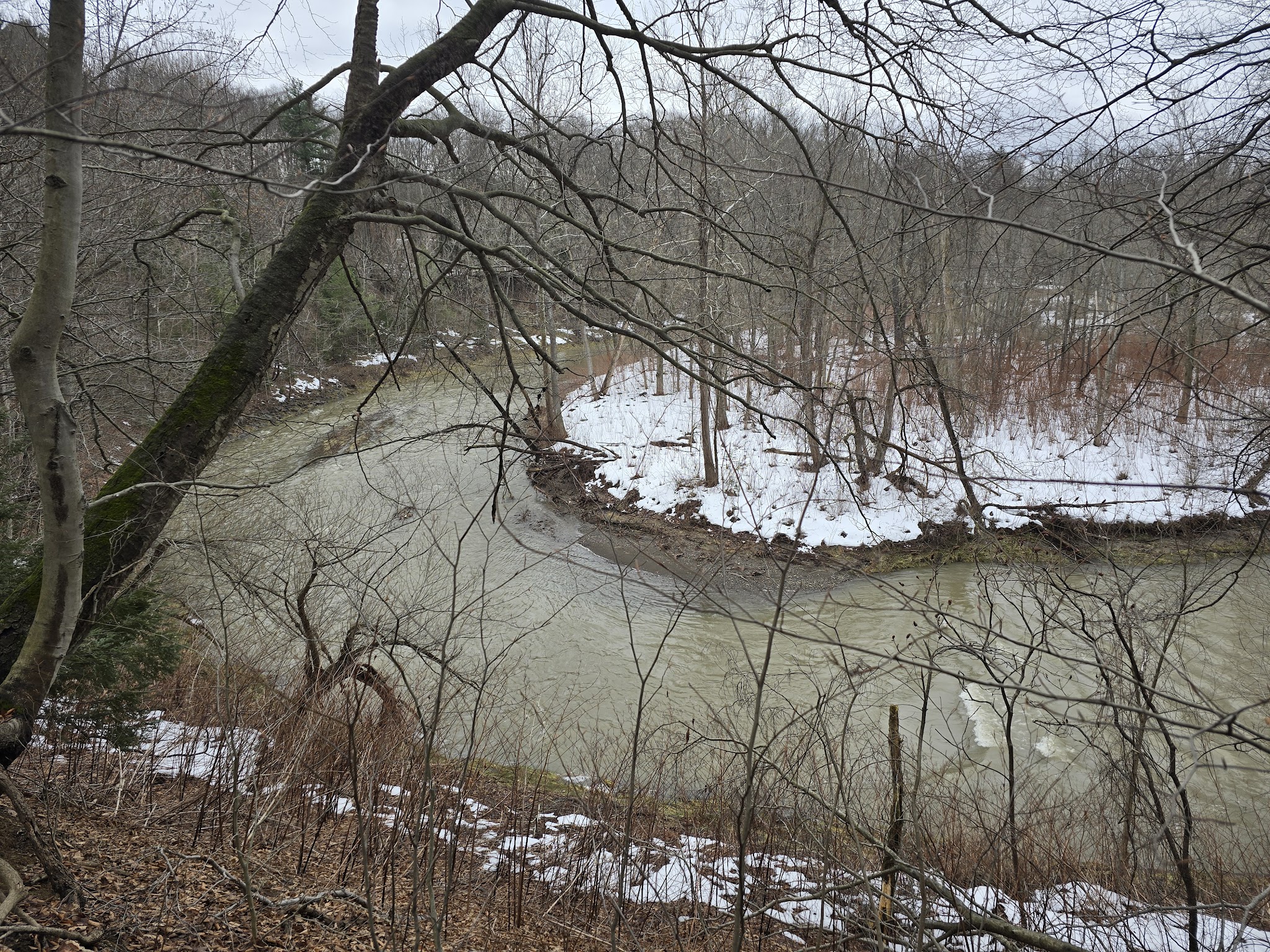 JP Nicely Memorial Park - West Falls, NY