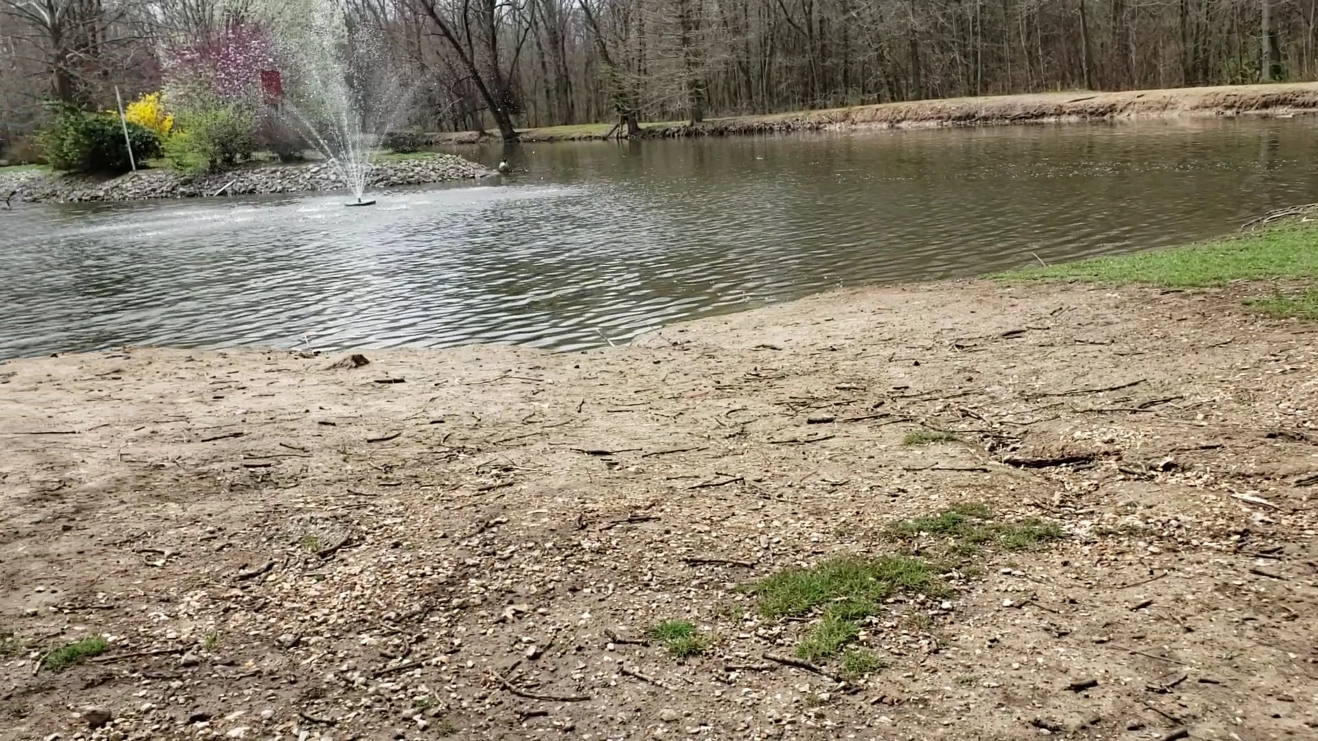 Frankfort Community Park - West Frankfort, IL