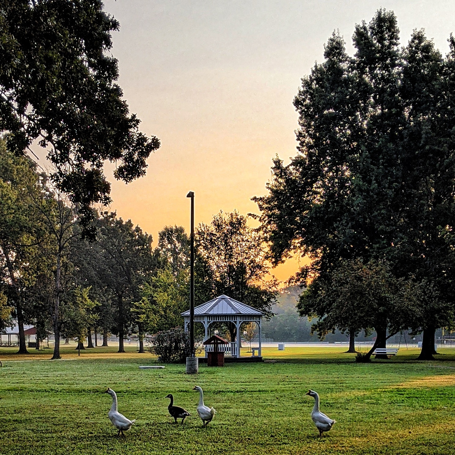 Frankfort Community Park - West Frankfort, IL