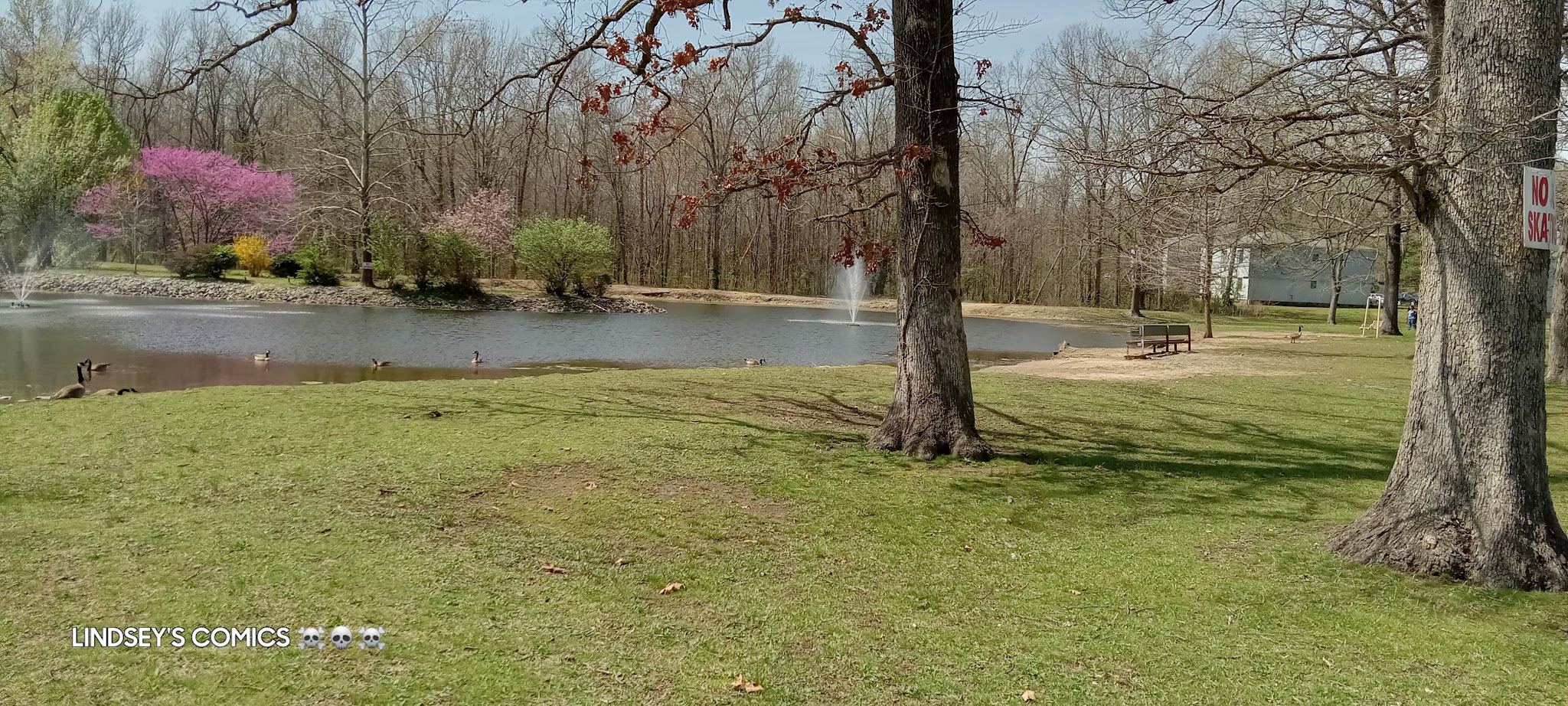 West Frankfort Park Office - West Frankfort, IL