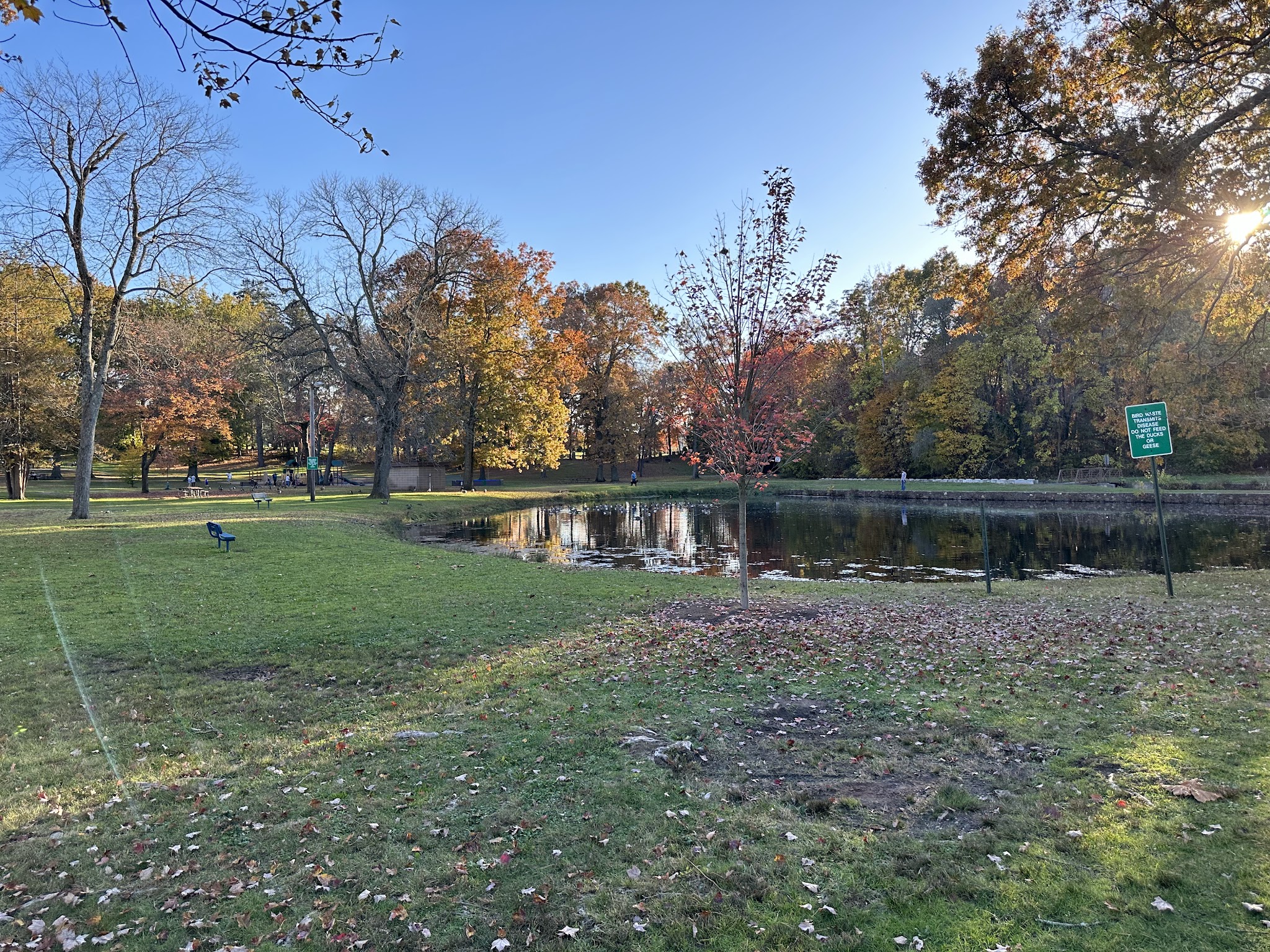 Fernridge Park and Pool - West Hartford, CT