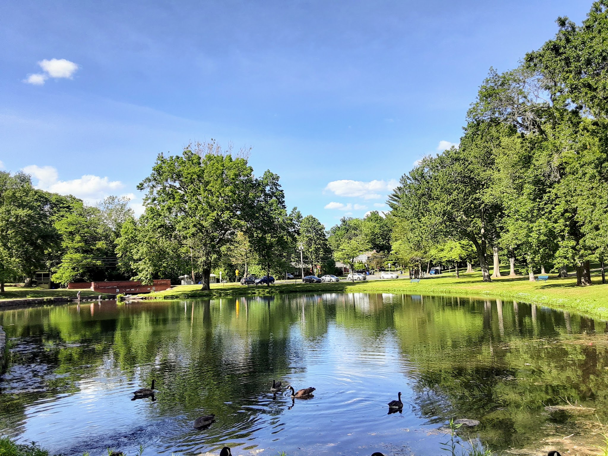 Fernridge Park and Pool - West Hartford, CT