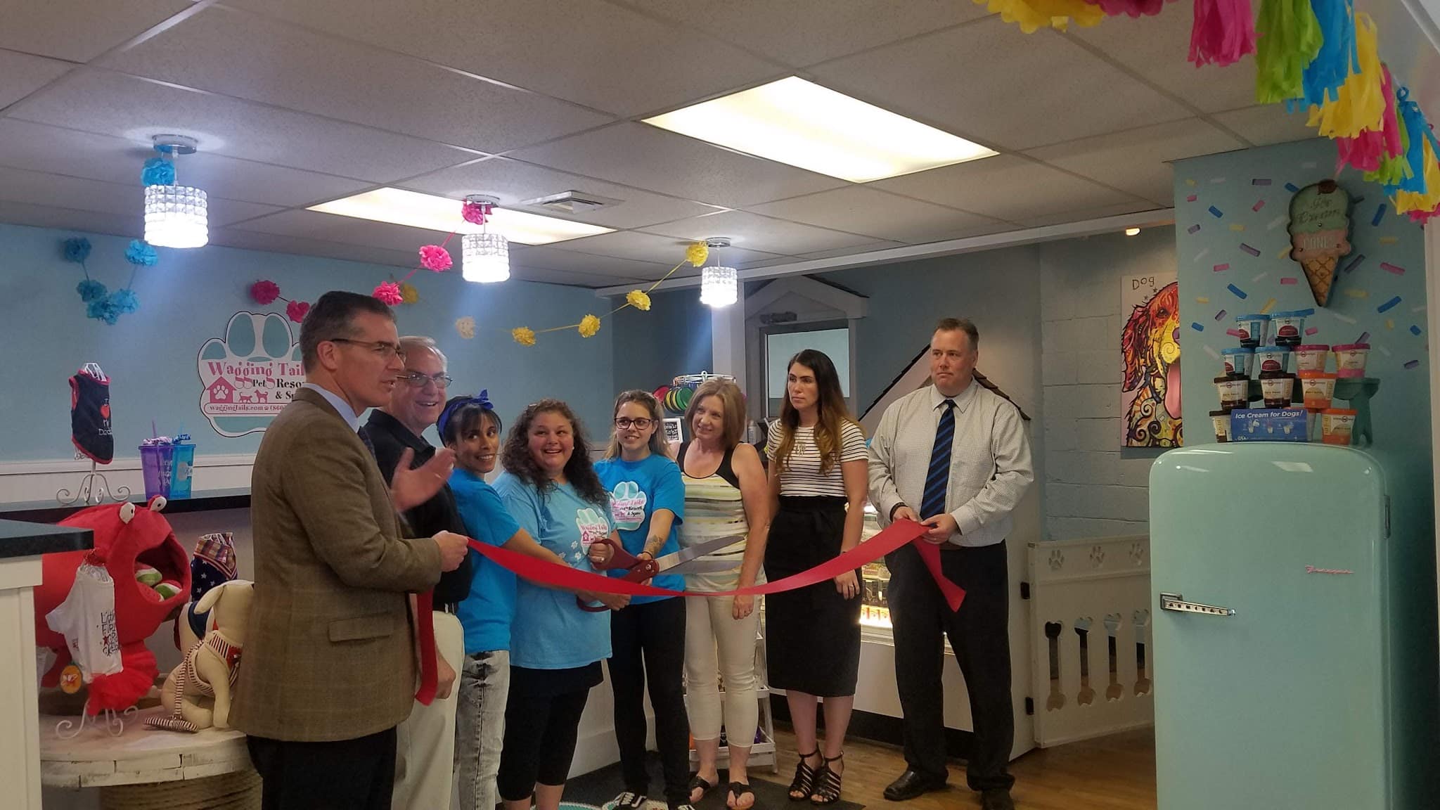 Wagging Tails Pet Resort and Spaw | Cat & Dog Boarding - Cat & Dog Grooming CT - West Hartford, CT