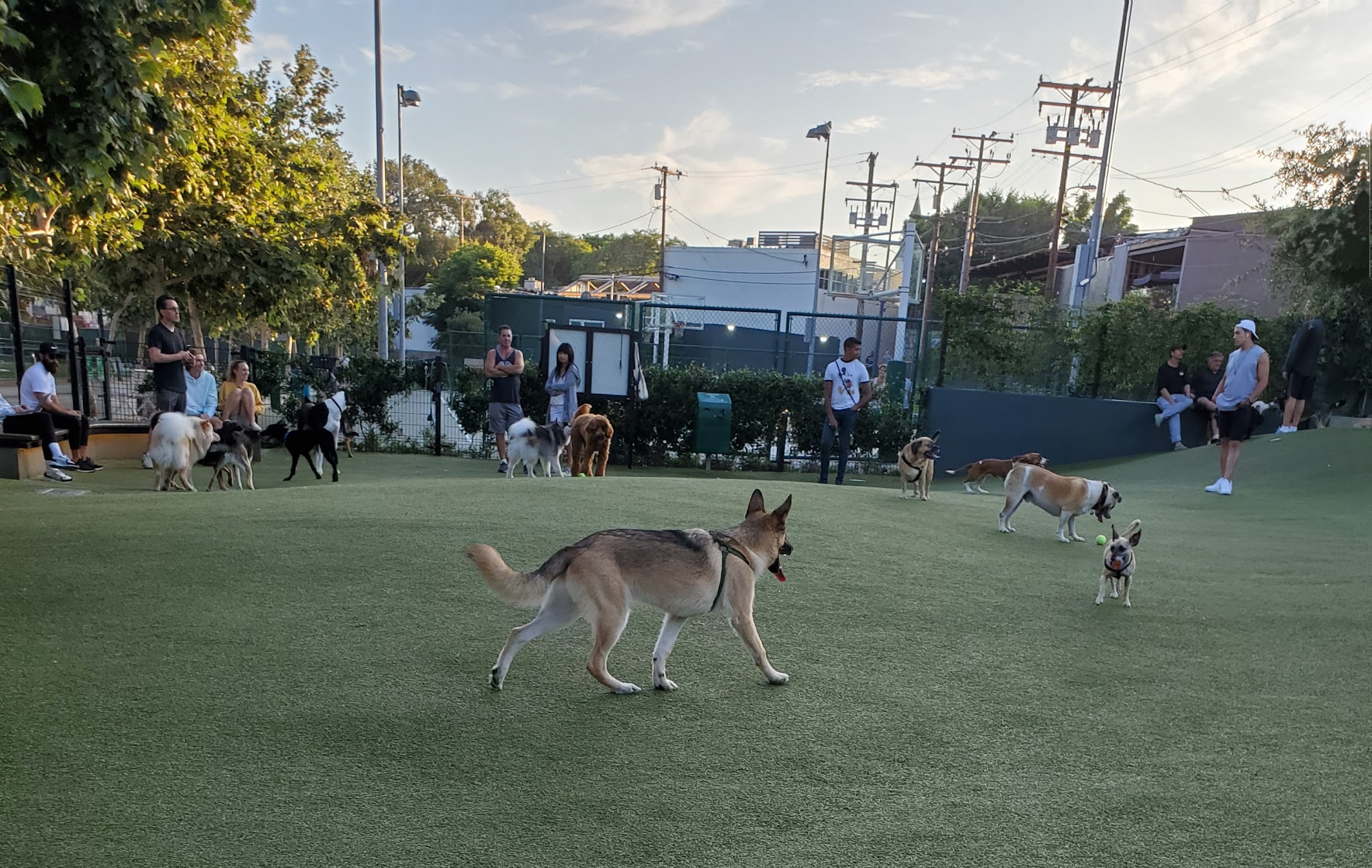 West Hollywood Park Dog Park - West Hollywood, CA