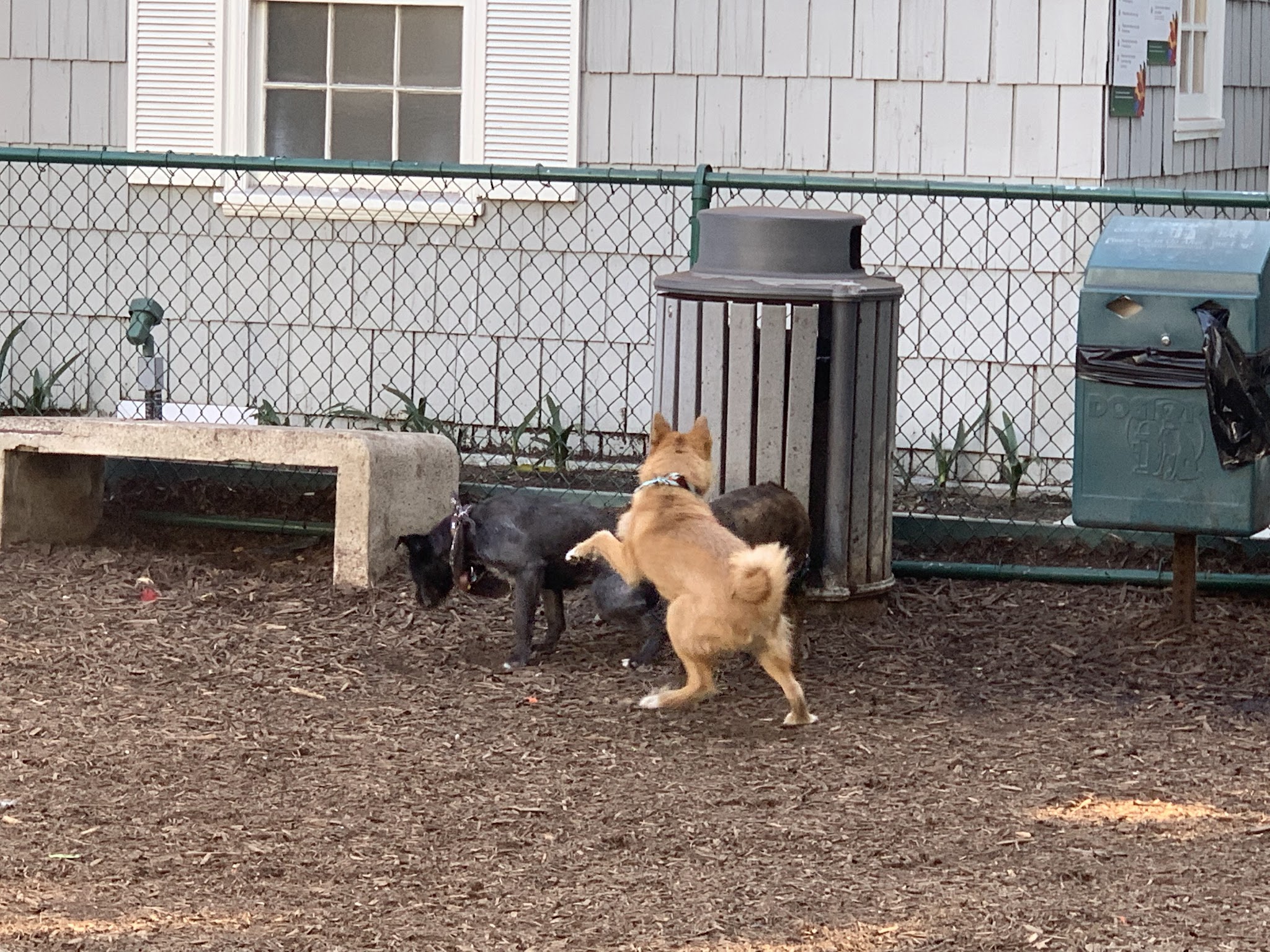 William S Hart Dog Park - West Hollywood, CA