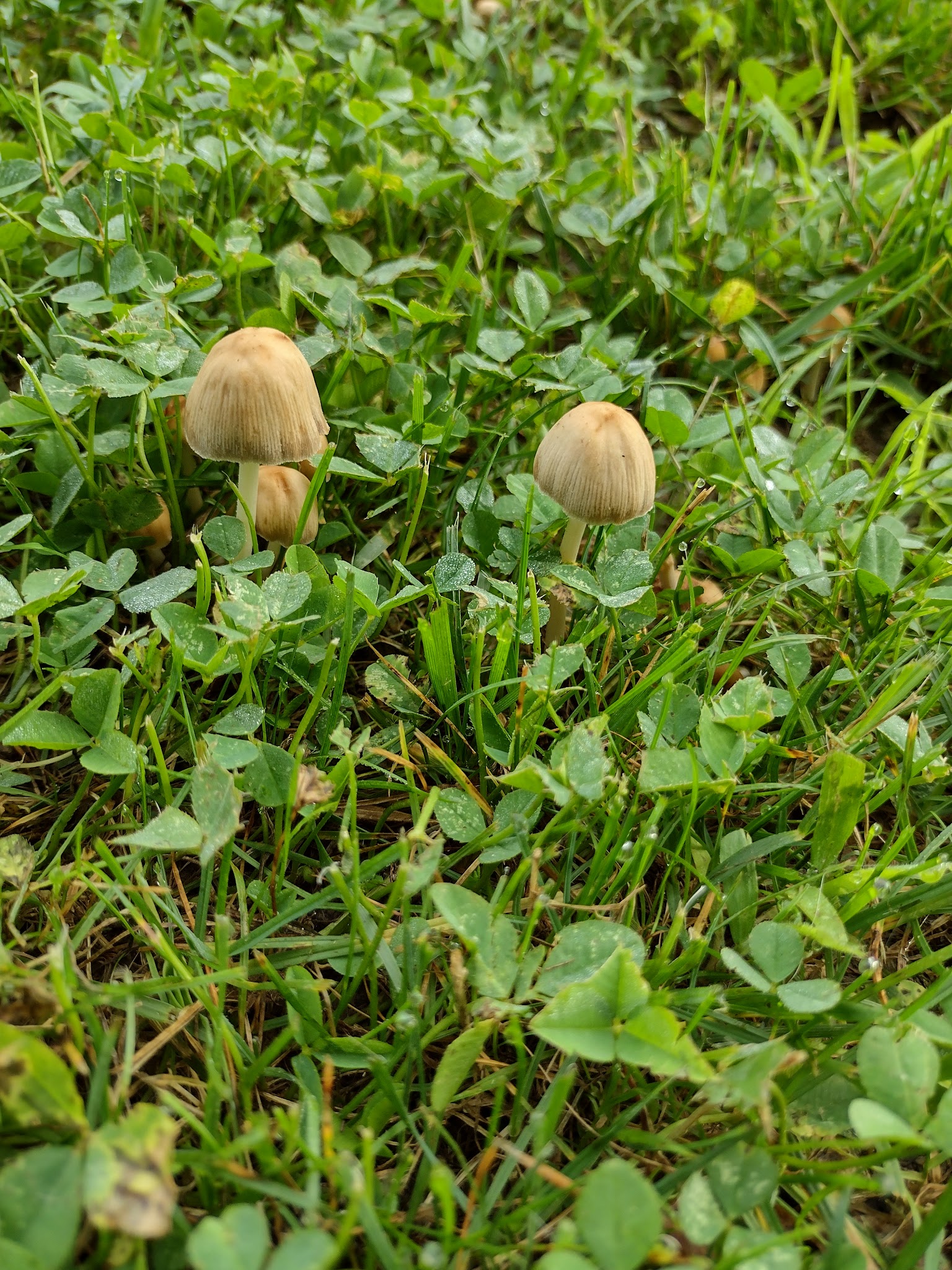 Riverside Park - West Lebanon, NH