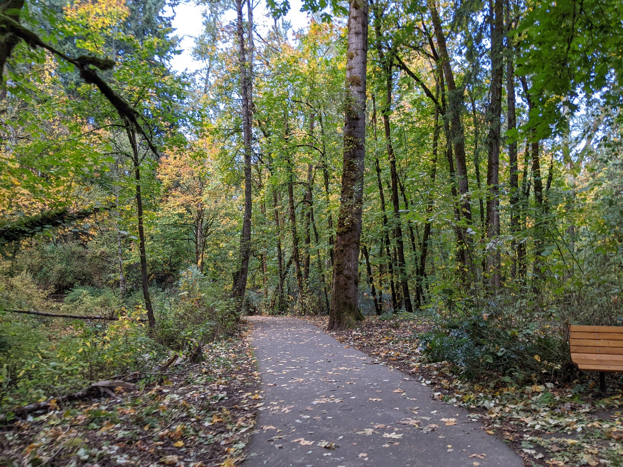 Mary S. Young Park - West Linn, OR