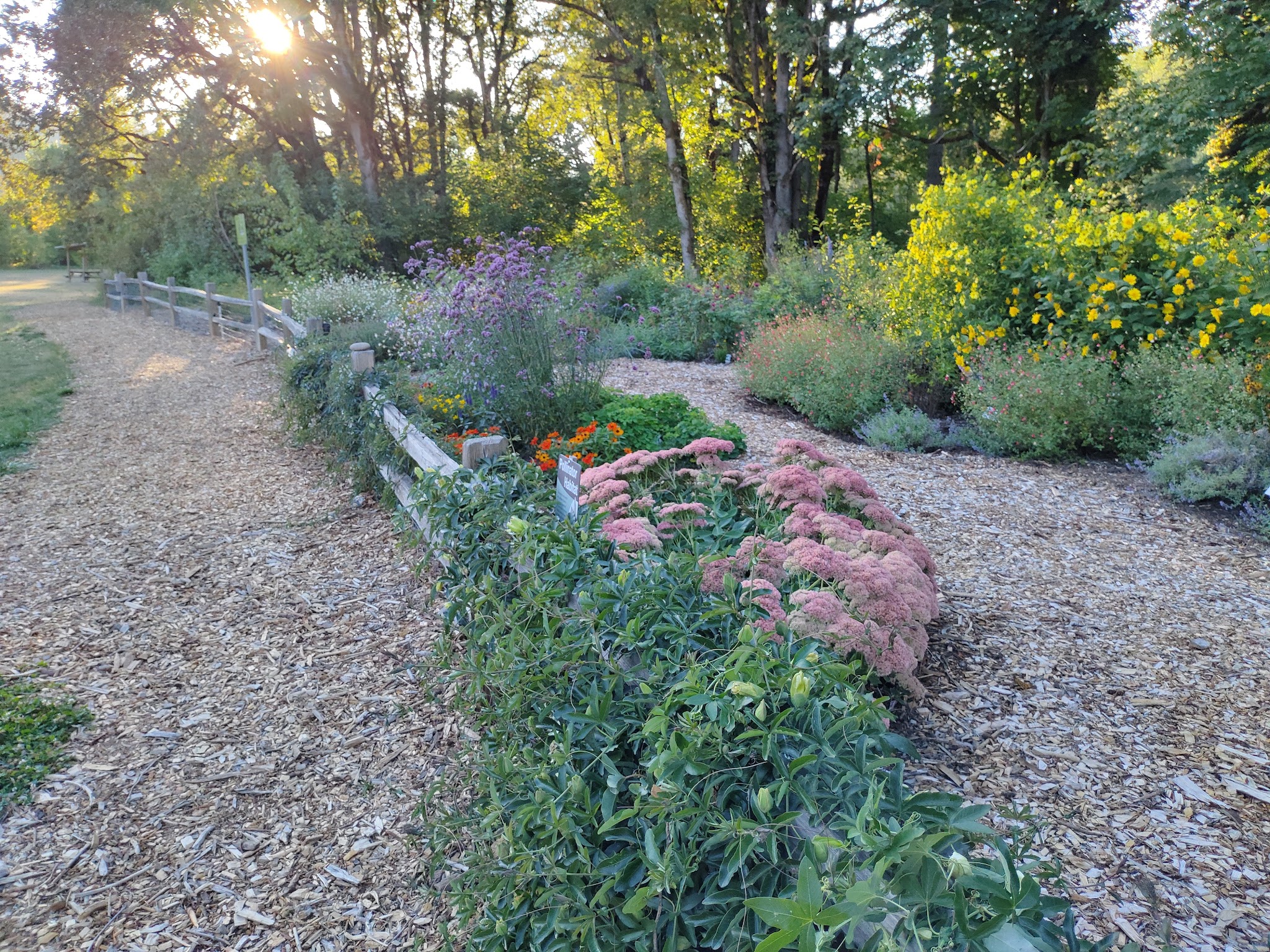 Off-Leash Dog Park - West Linn, OR