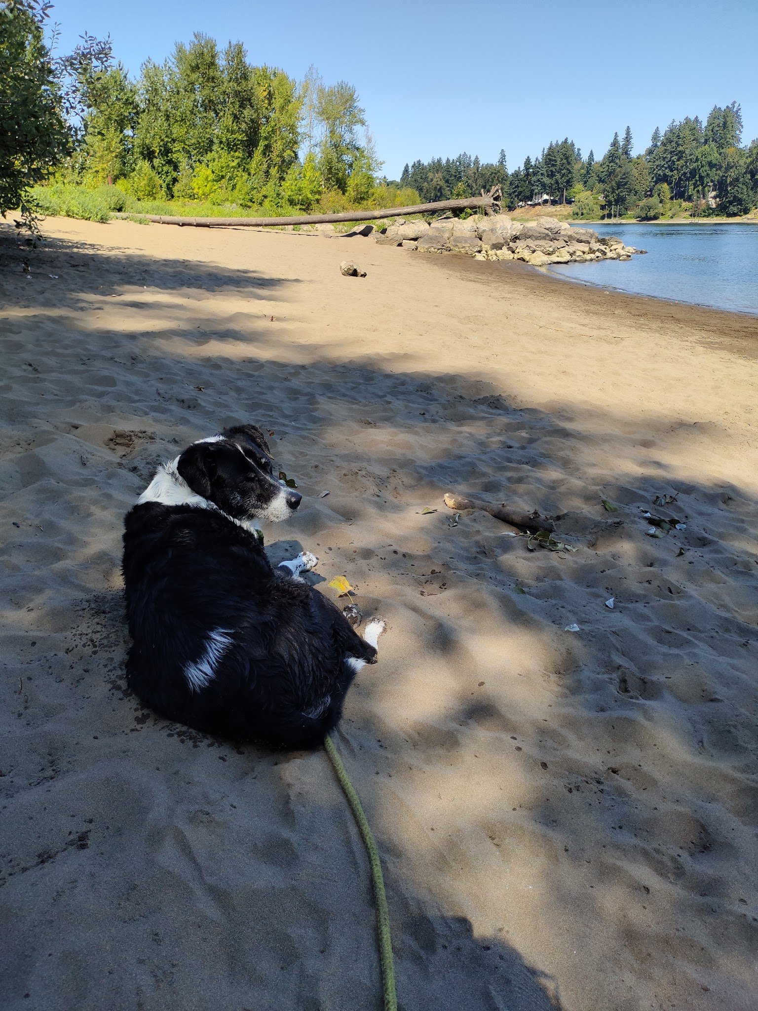 Off-Leash Dog Park - West Linn, OR
