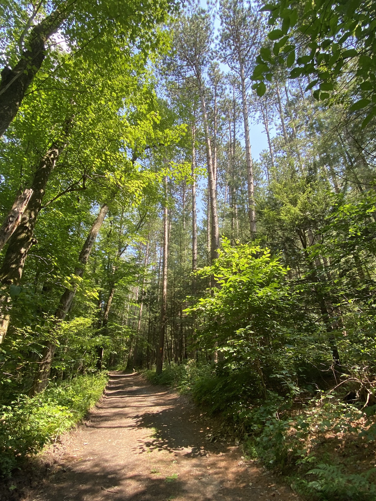Passaic County Camp Hope - West Milford, NJ