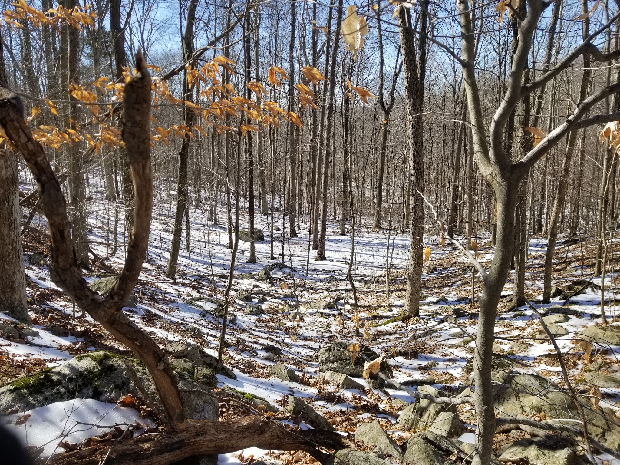 Tranquility Ridge - West Milford, NJ
