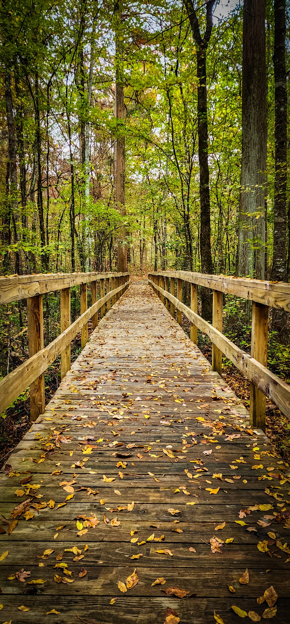 Kiroli Park - West Monroe, LA