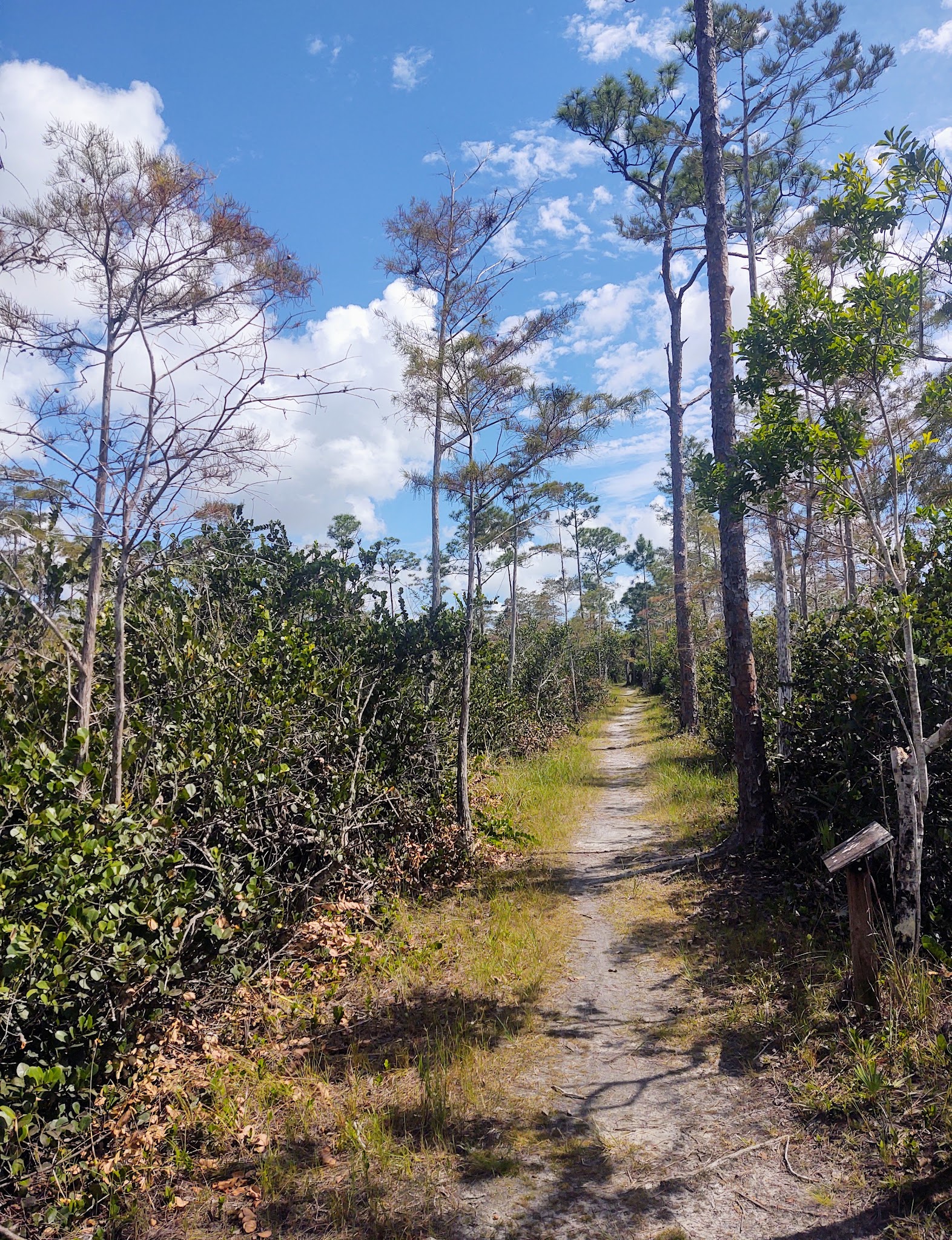 Apoxee Trail - West Palm Beach, FL
