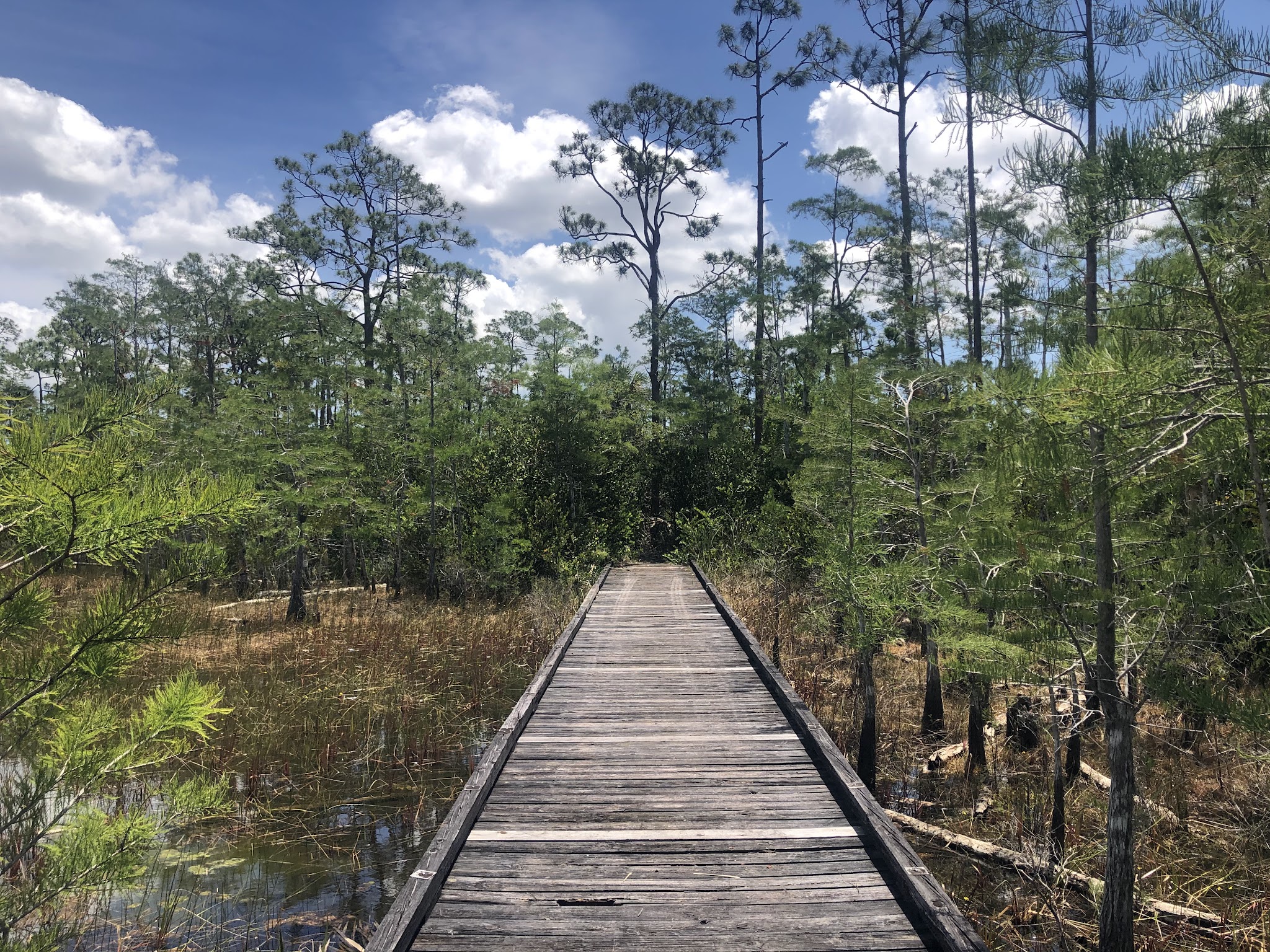 Apoxee Trail - West Palm Beach, FL