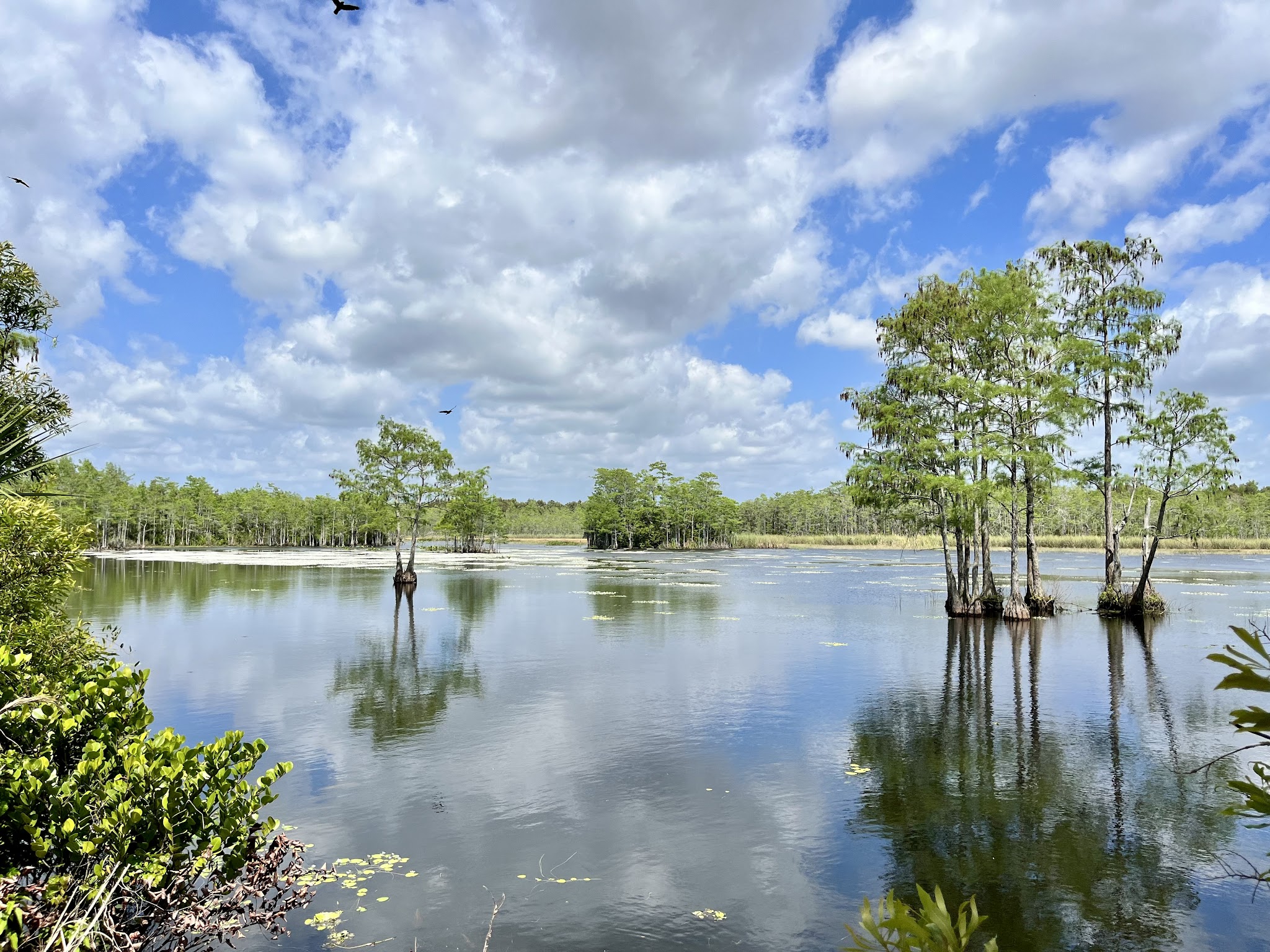 Apoxee Trail - West Palm Beach, FL